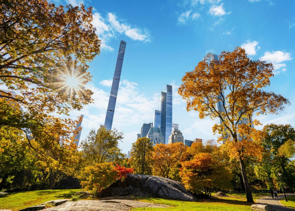 City parks cool neighborhoods beyond their borders