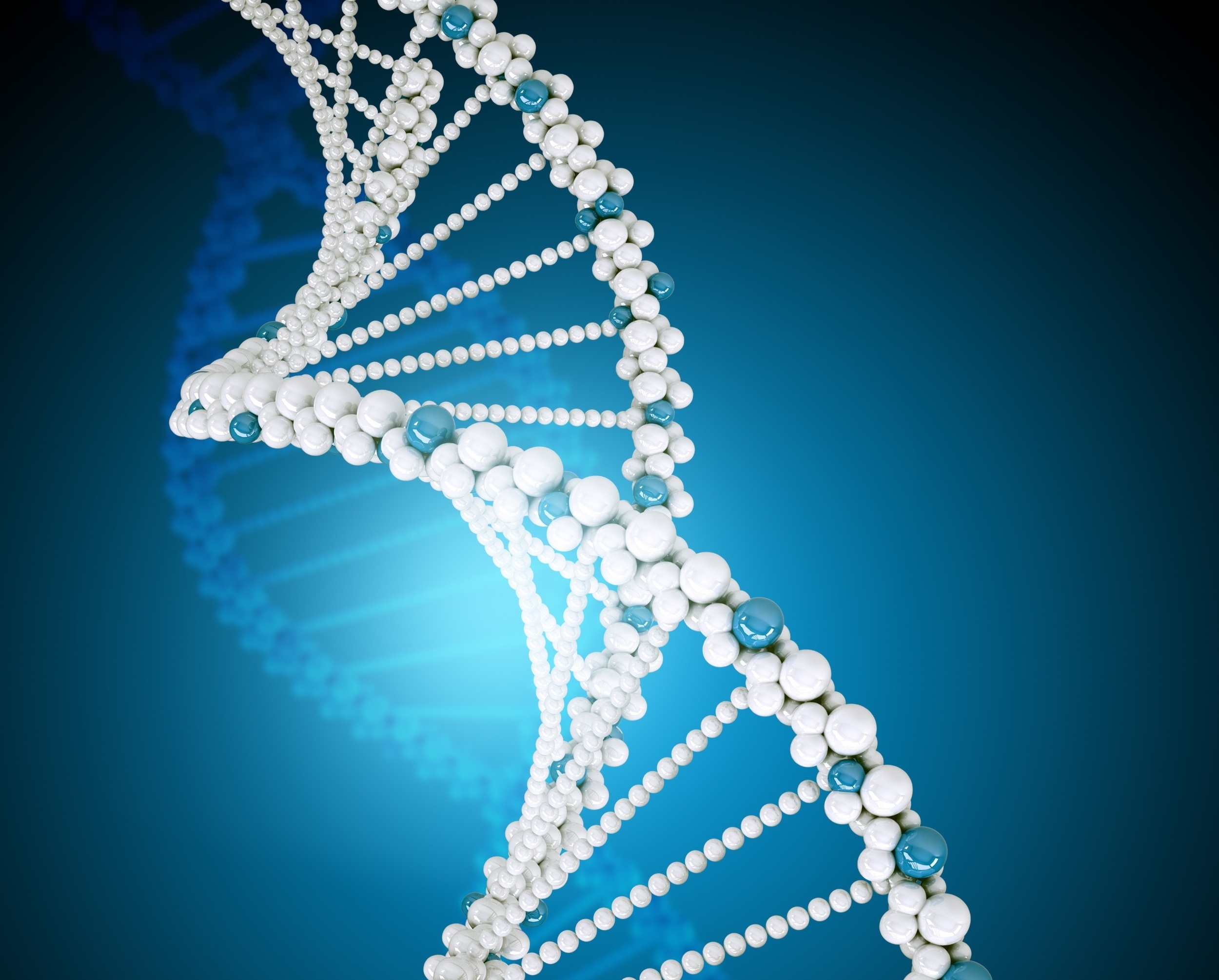 Poverty and discrimination can speed up biological aging