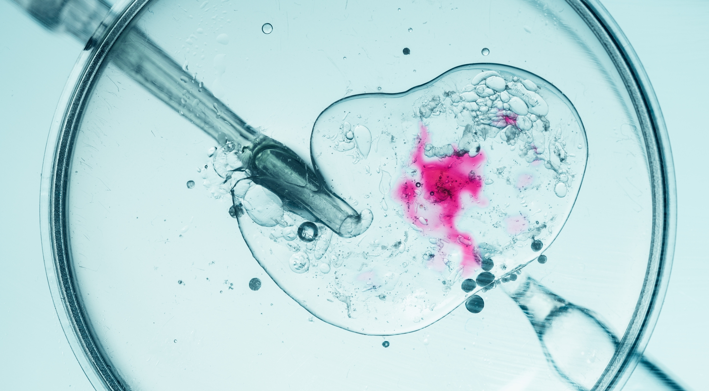Scientists edit human embryos without damaging chromosomes