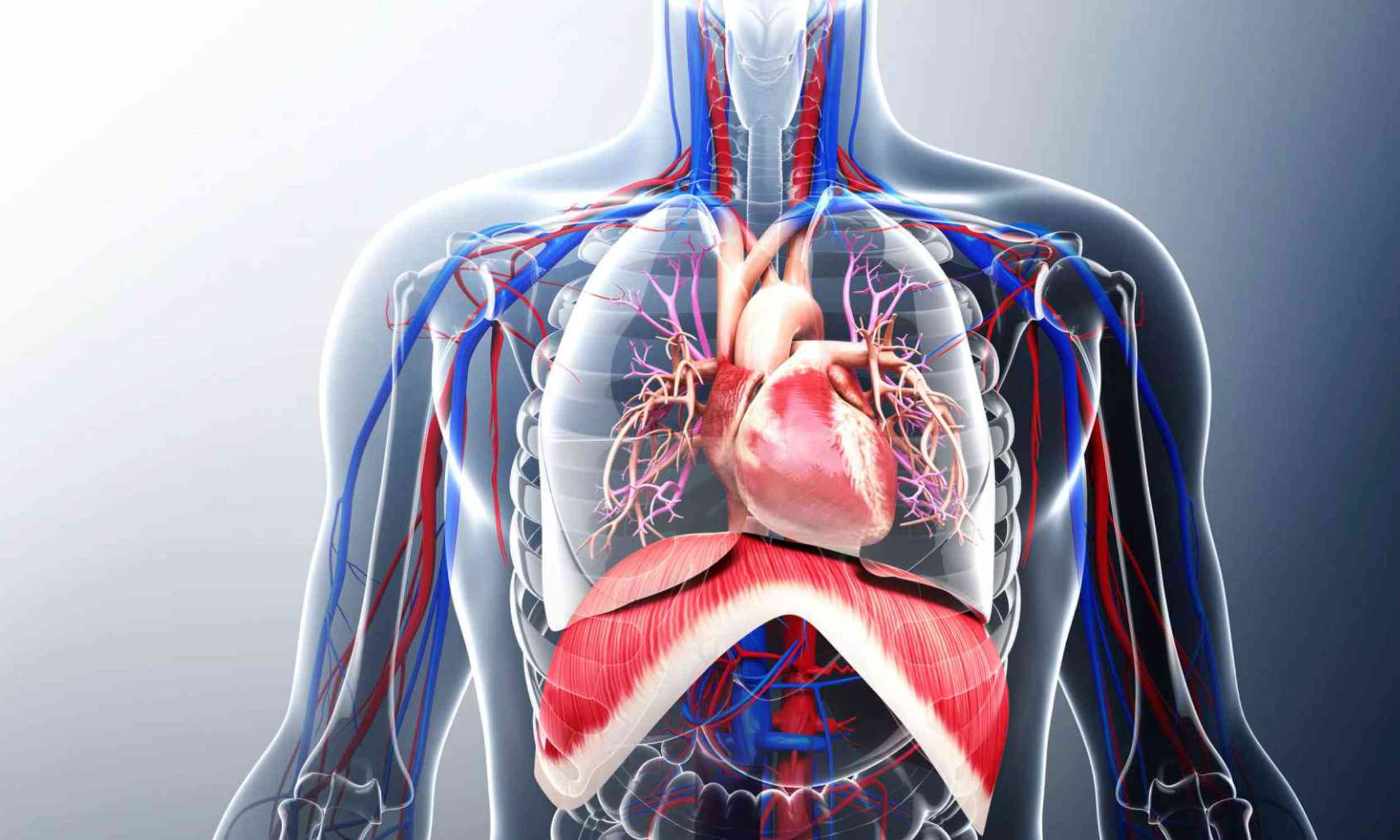 Hidden body signal may help explain compulsive drug use