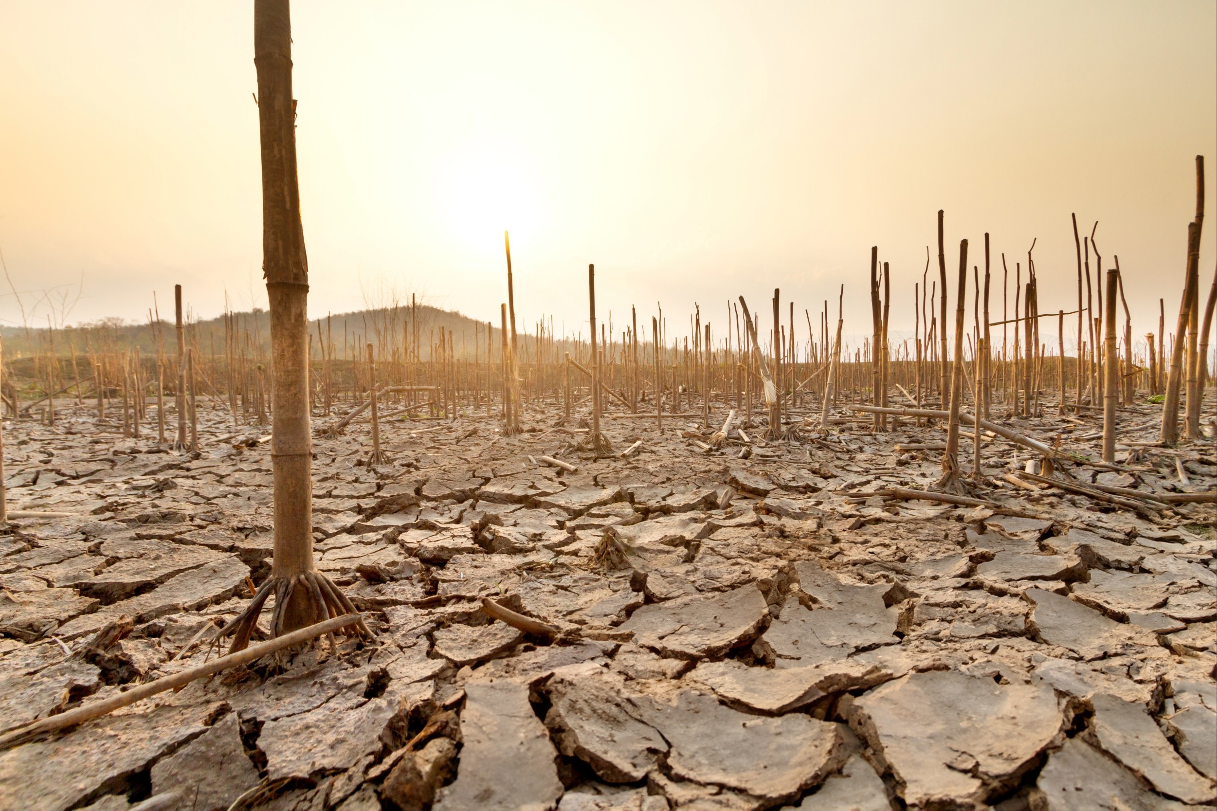 Why climate models miss warning signs before deadly heatwaves