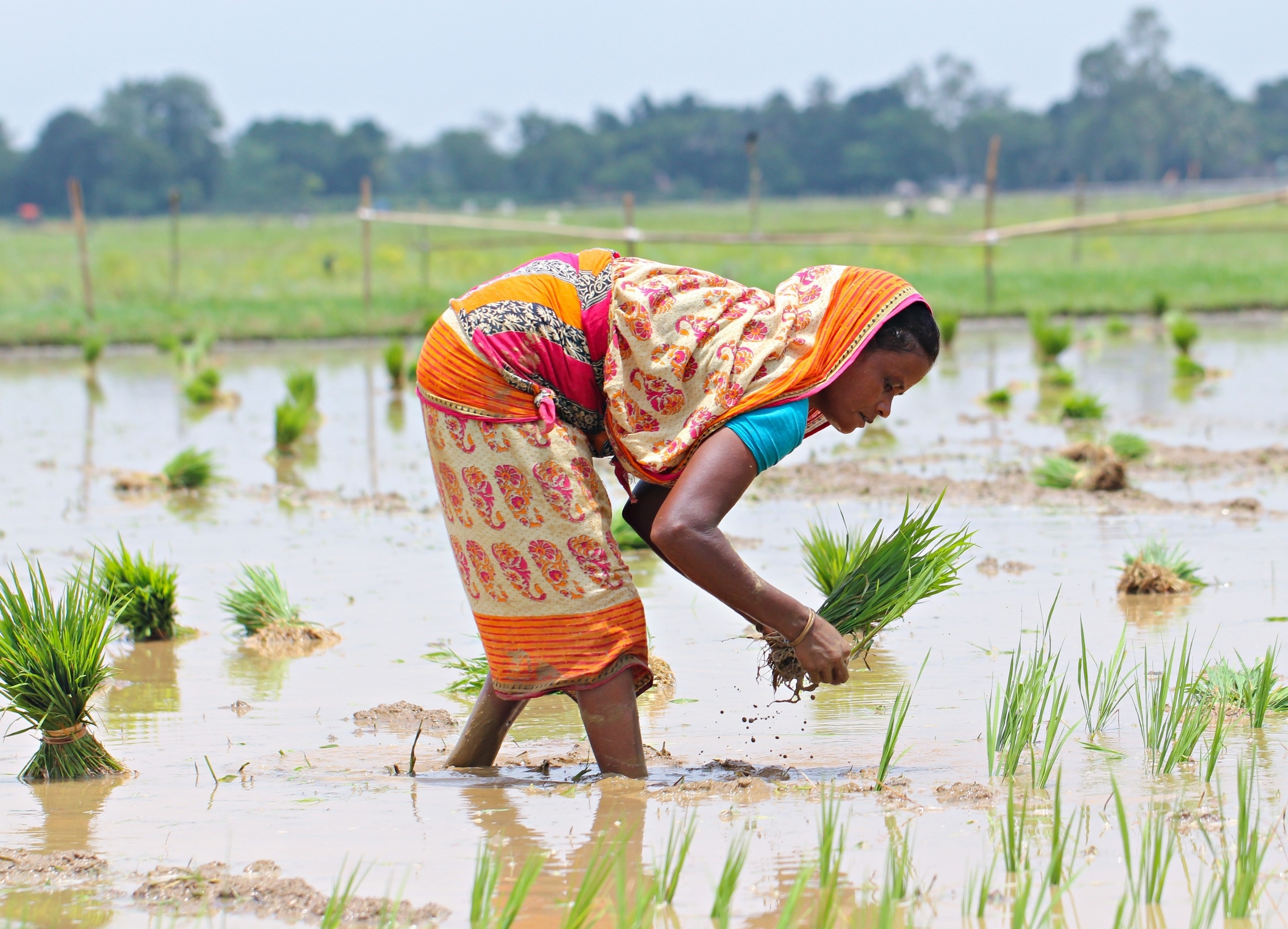 Food security faces a new threat: Not enough people to farm