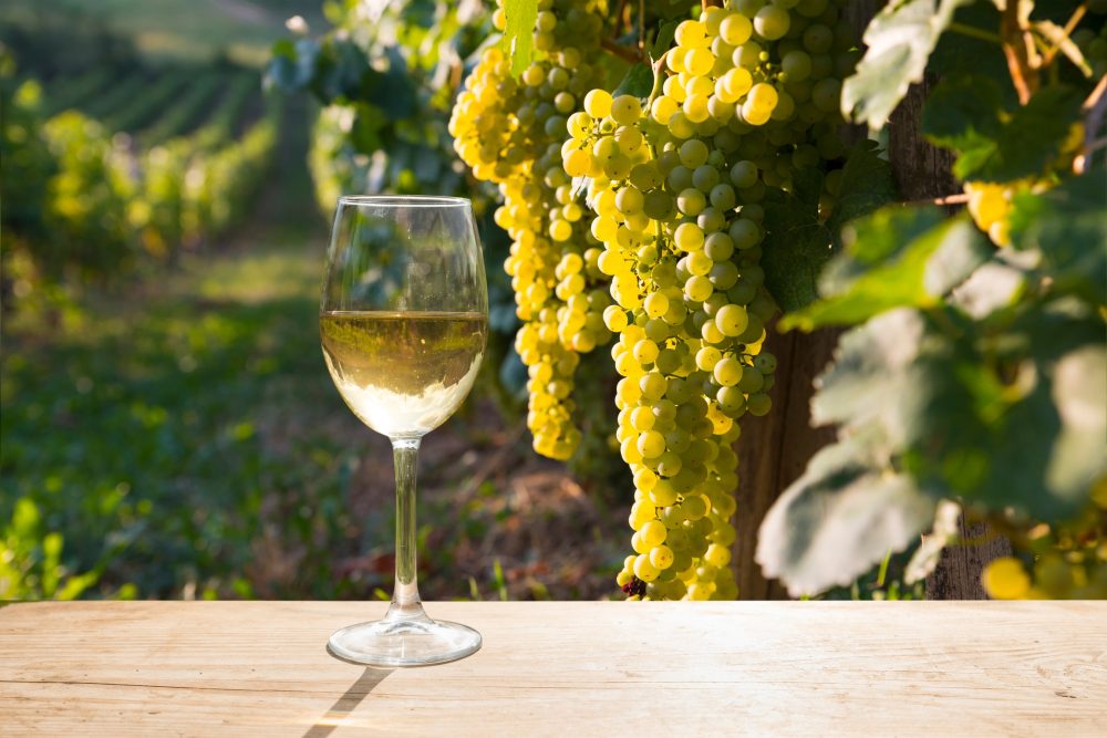 Ancient seeds reveal Chianti's forgotten white-wine past
