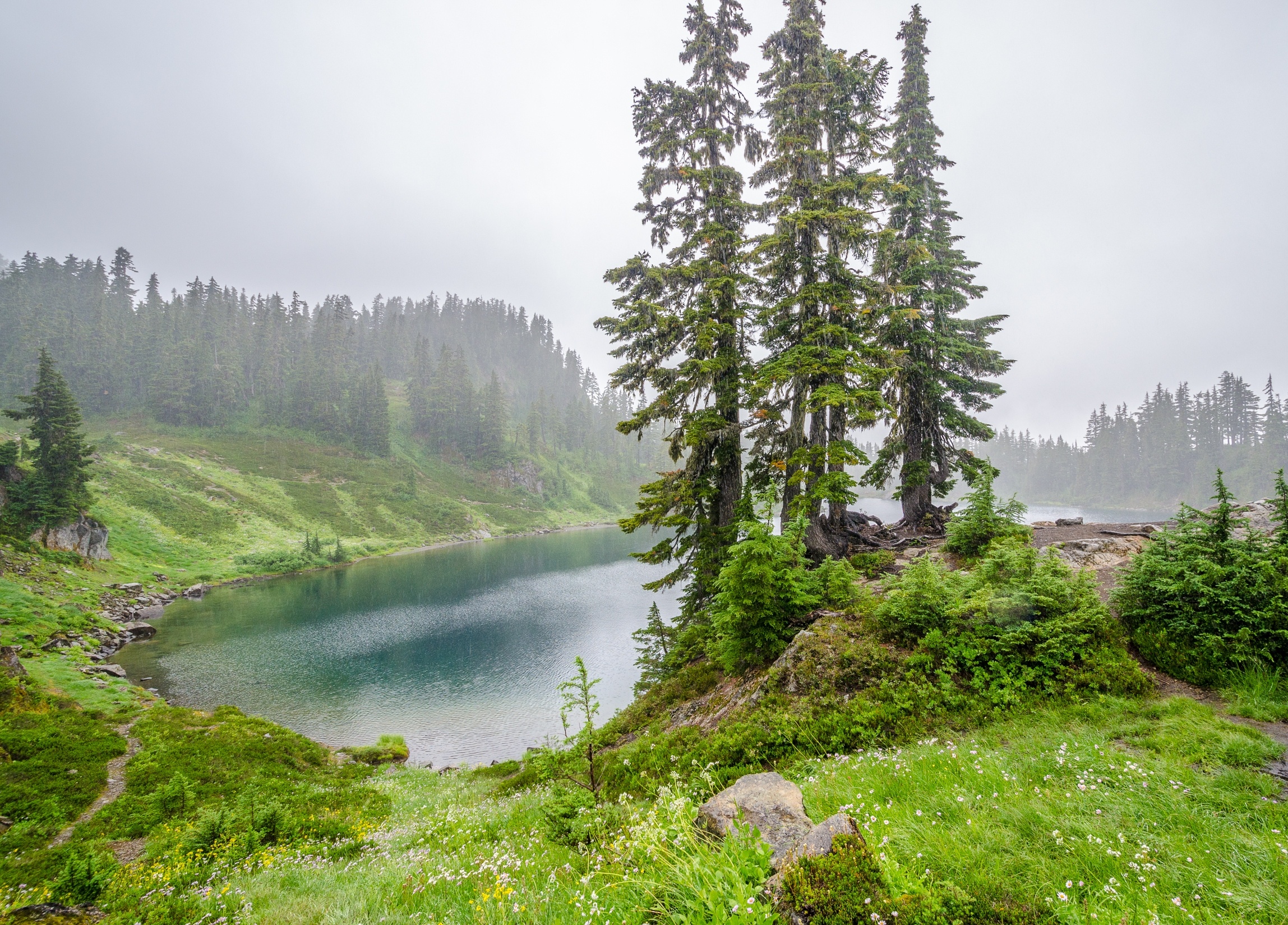 Past rainfall leaves a surprising fingerprint on air pollution