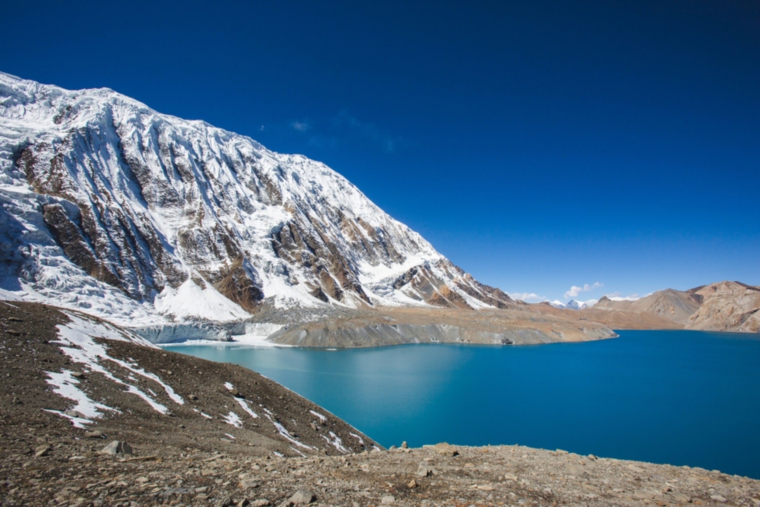 Drug-resistant fungus in the himalayas