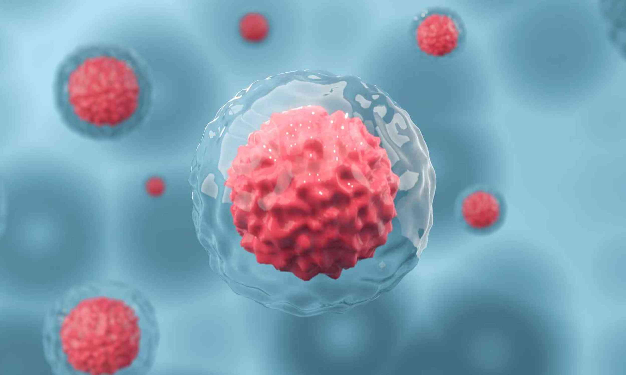 Embryos may rely on cell competition to keep development on track