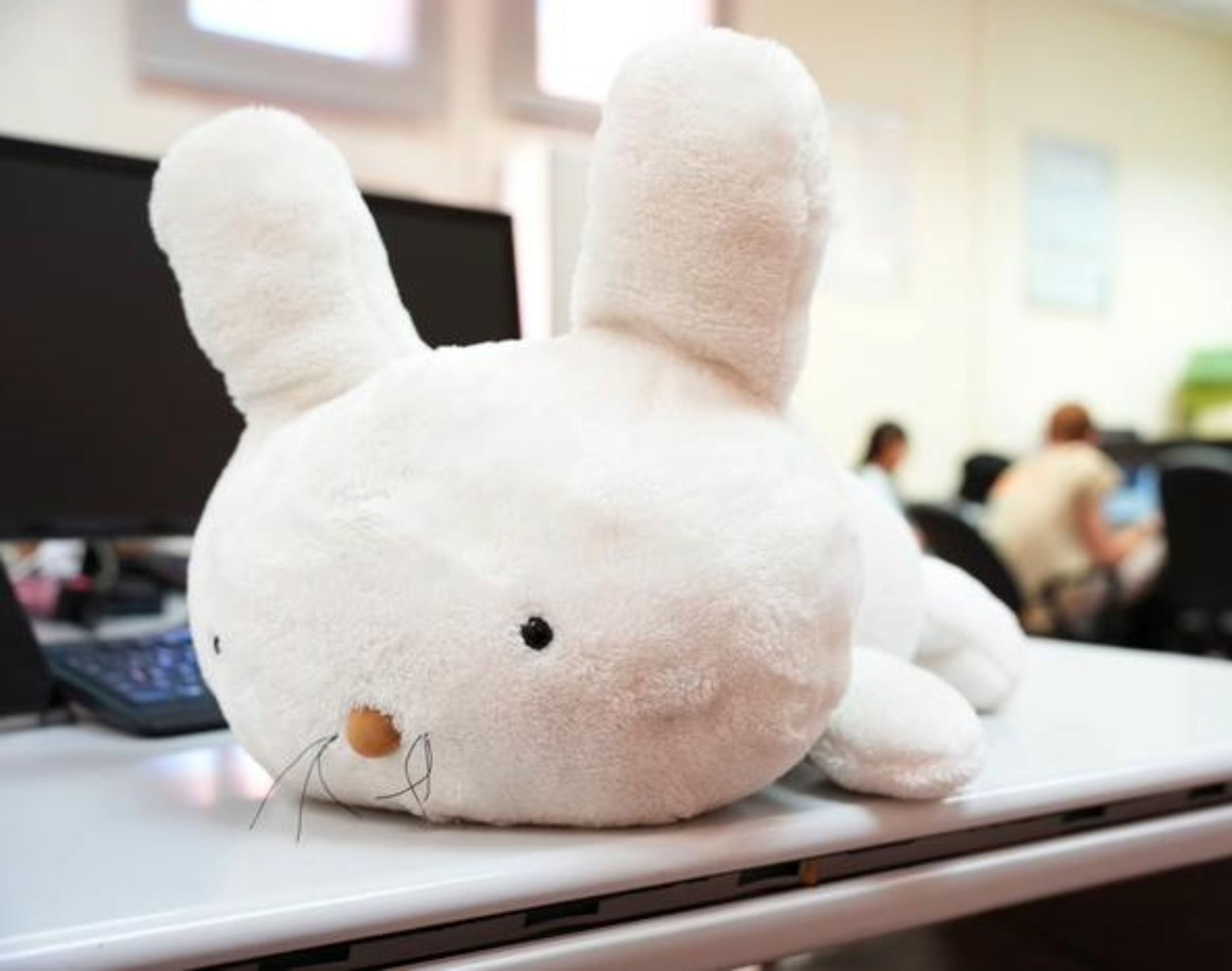 Robotic pet rabbit recognizes people just by hearing their voice