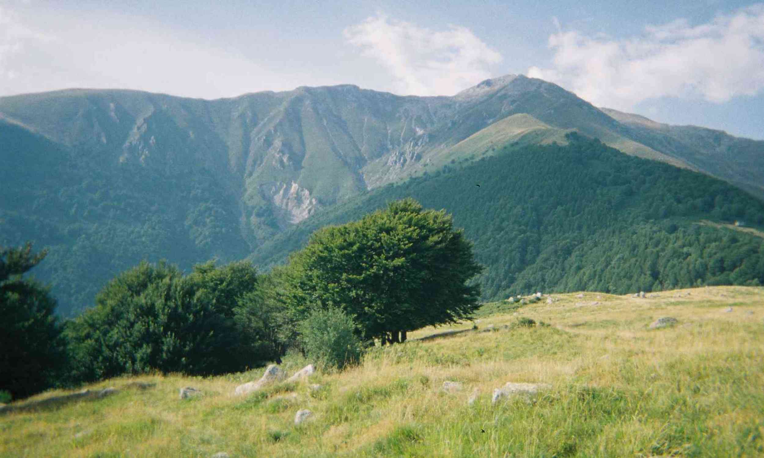 The same land may hold a secret for climate, wildlife, and economies