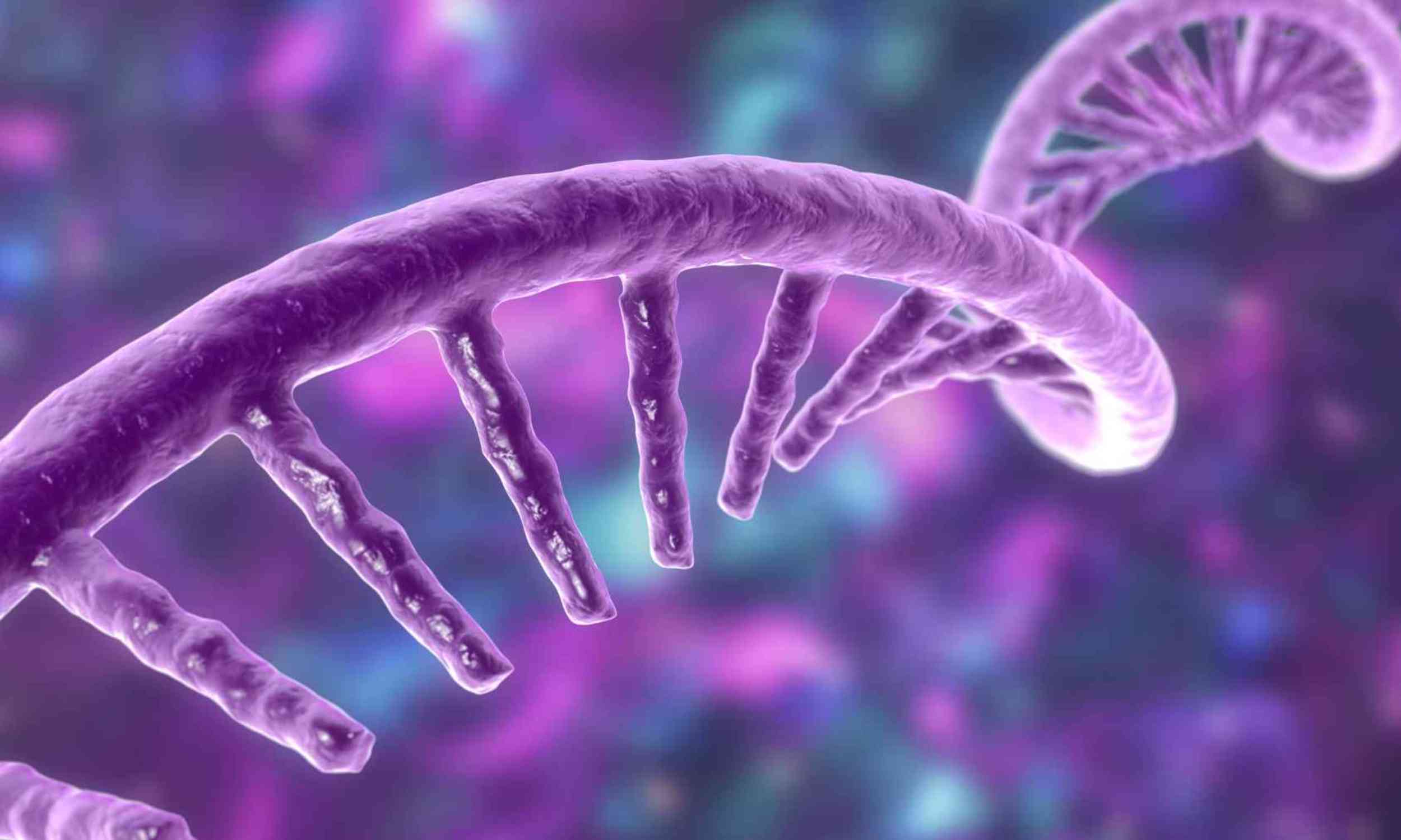 DNA’s messenger may be doing more than scientists thought