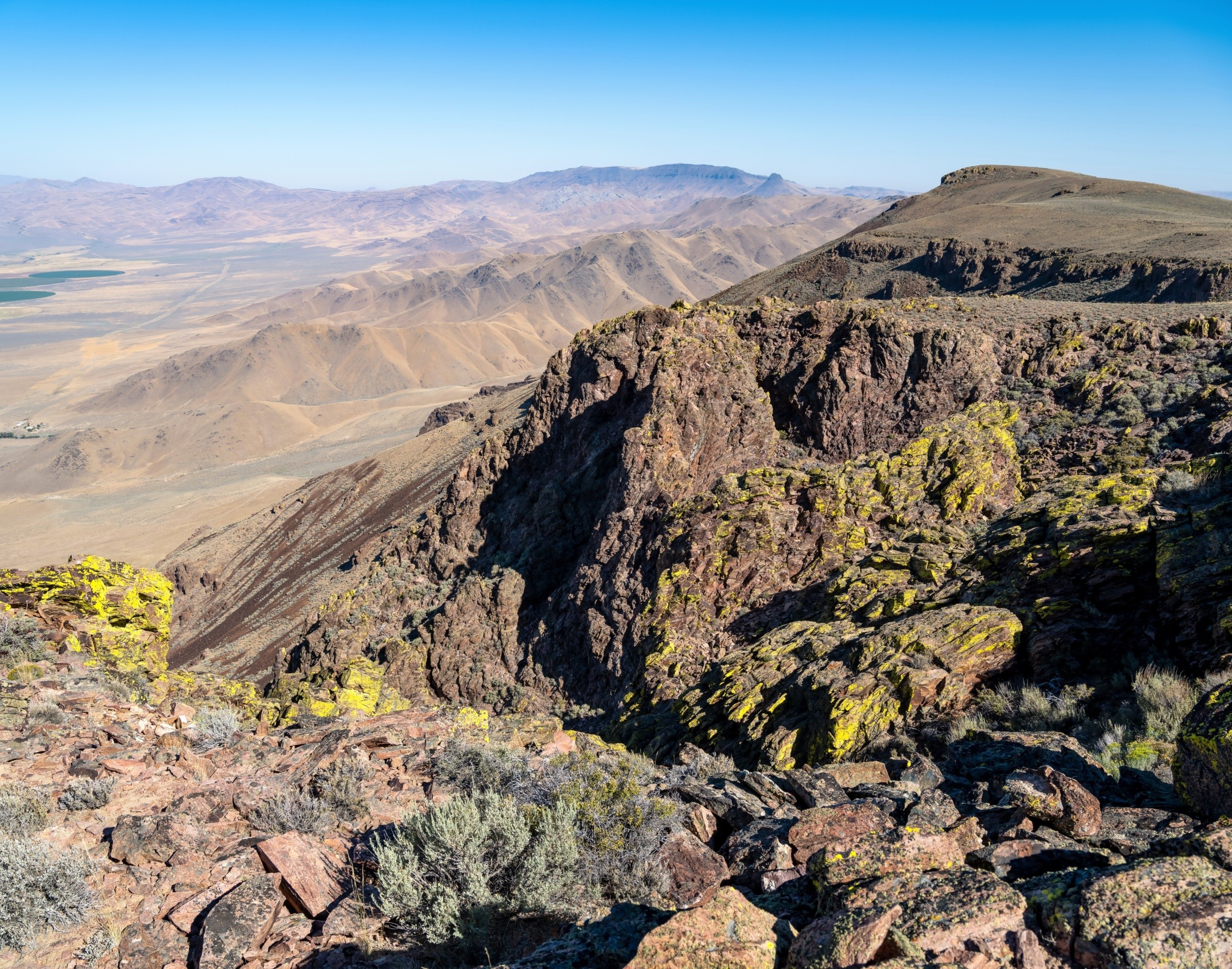 Desert moss may hide one of Earth's oldest partnerships