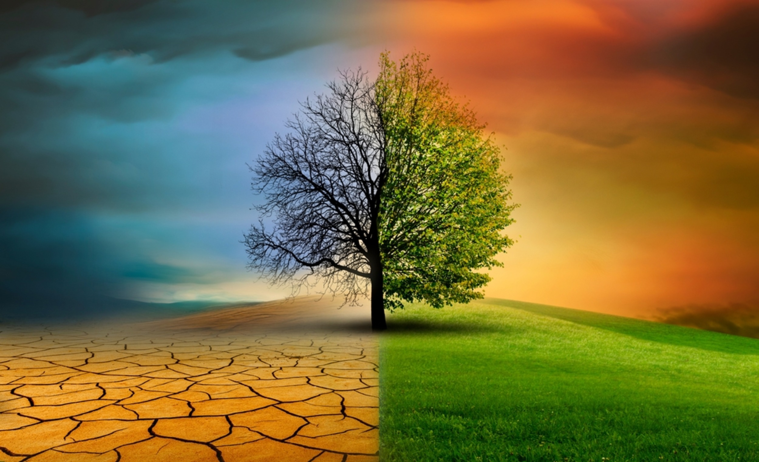 Ancient climate shift could predict our future