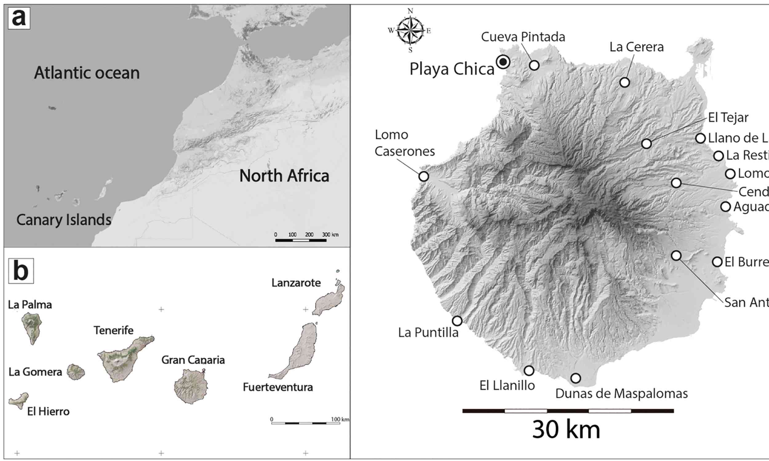 Ancient islanders left fish clues that reveal a forgotten ocean economy