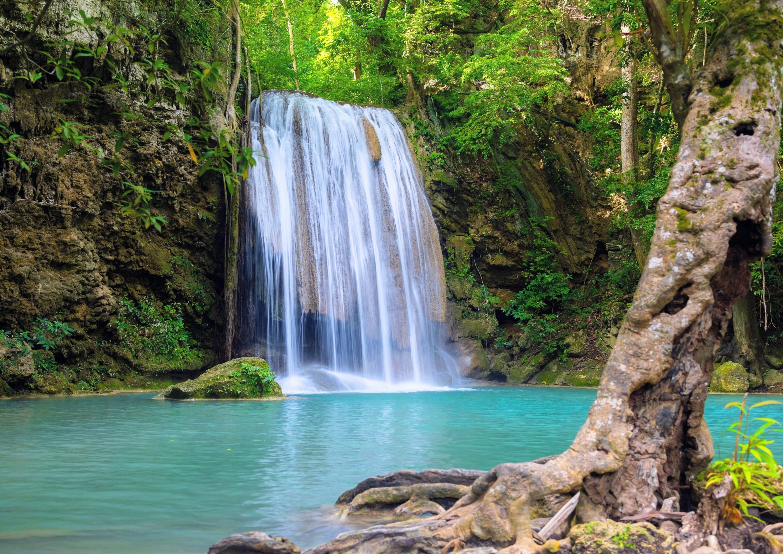 World Rainforest Day 2026: A brutal year, then a hopeful turn