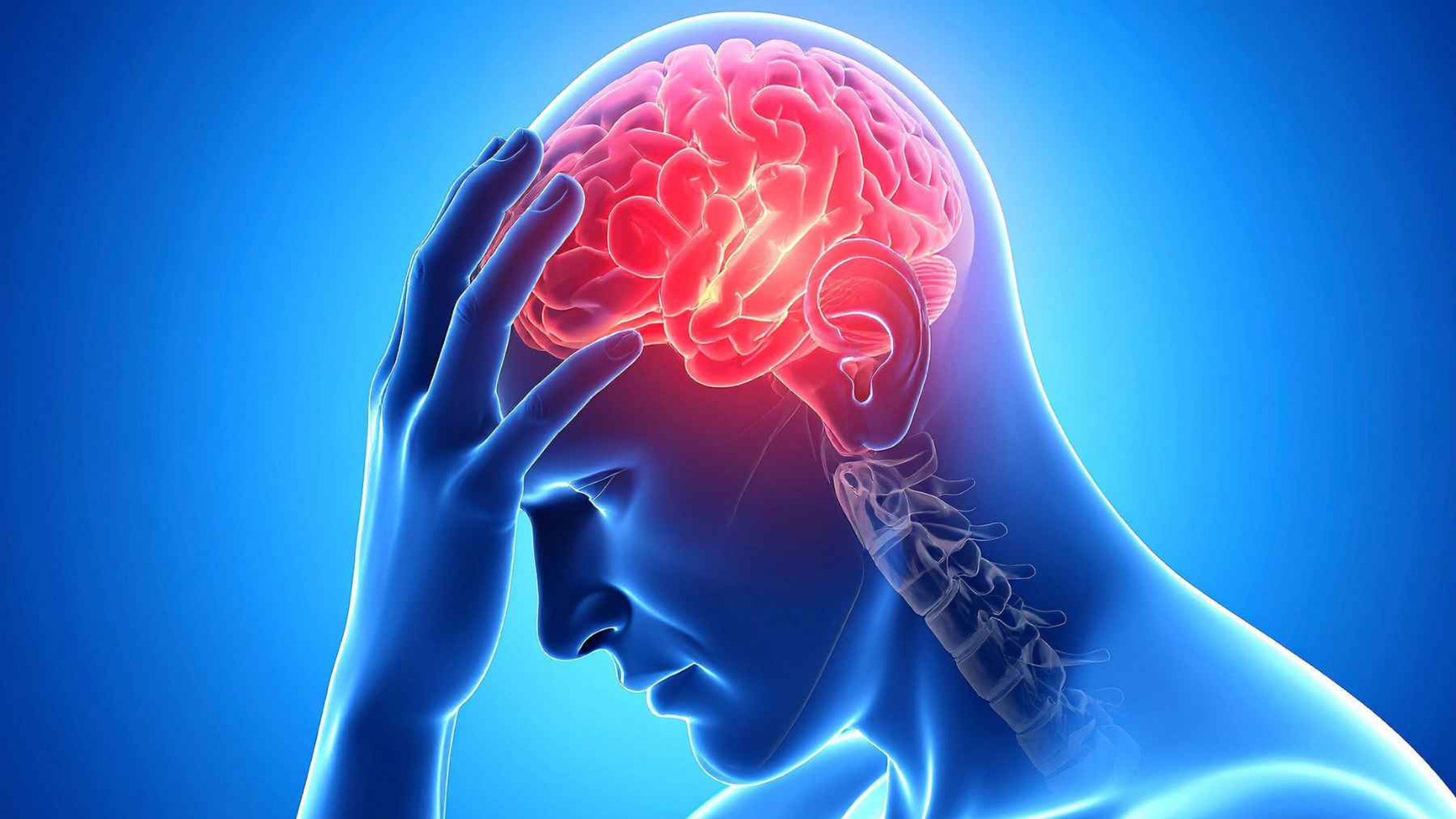Metabolism and aging shape the brain differently, with women showing greater cognitive effects in 3,500 brain scans