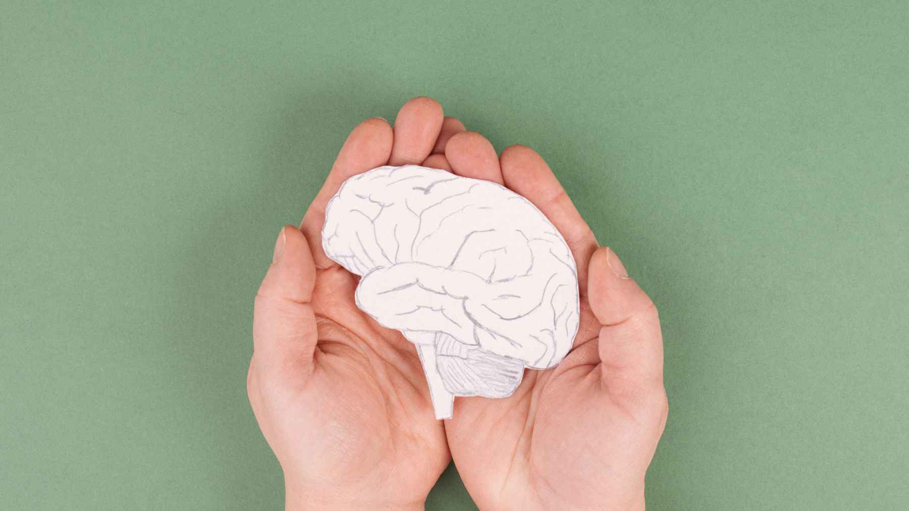 Natural protein fragment may calm the brain inflammation tied to Parkinson’s damage