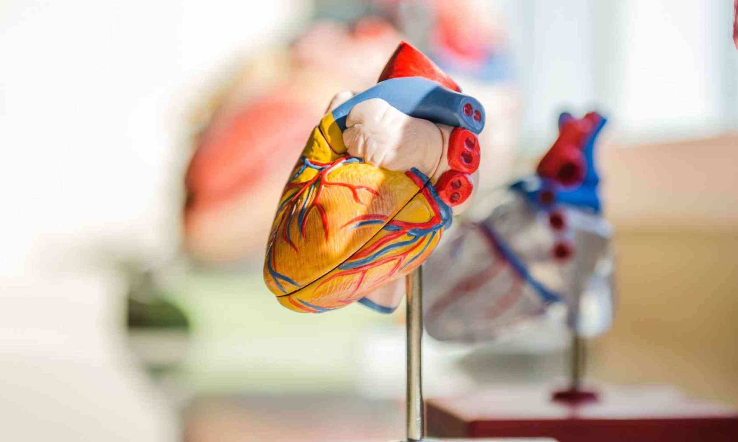 Heart failure care may depend on something doctors do not measure
