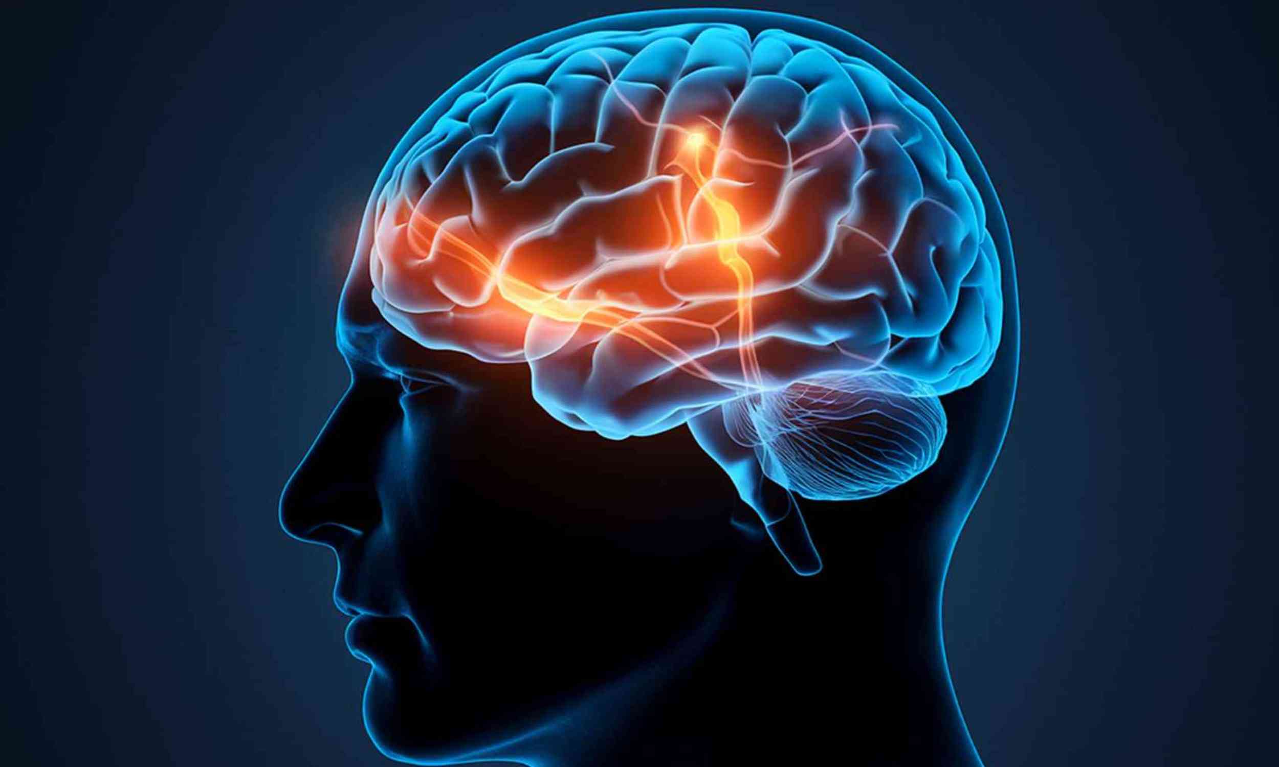 The brain may rewire itself as the body adjusts to thin air