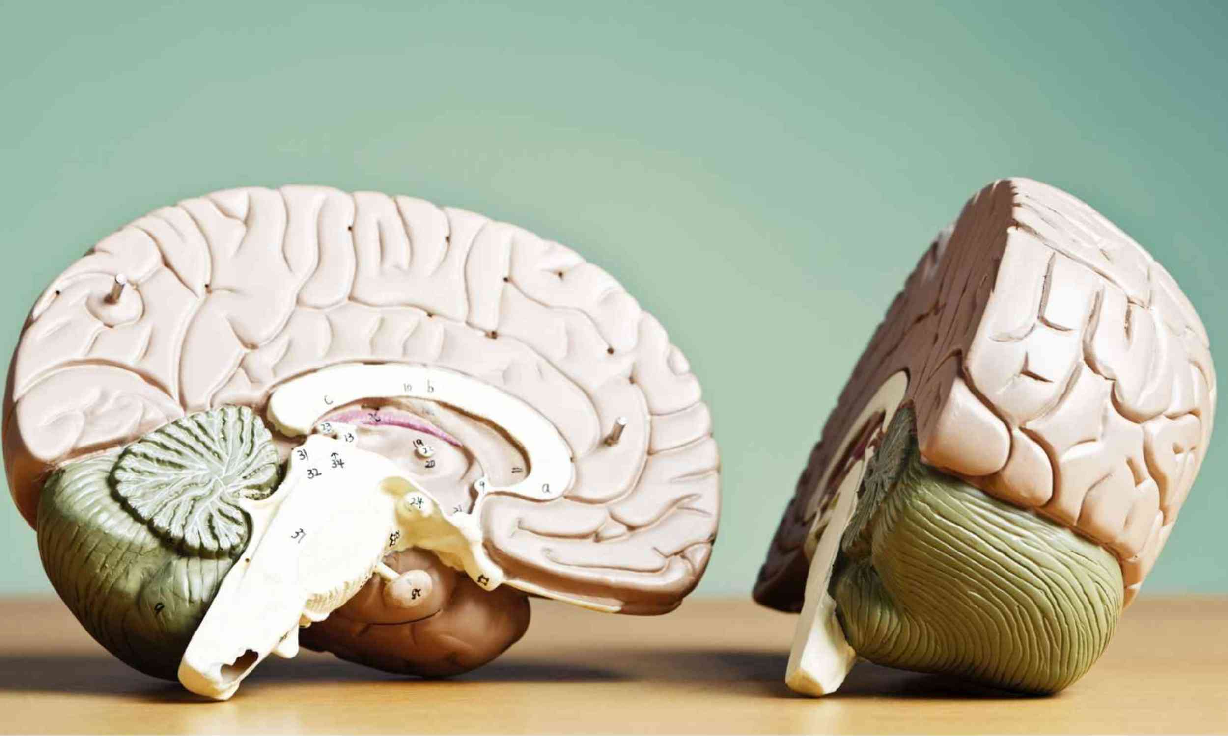 Low vitamin C levels may reveal subtle changes in the brain