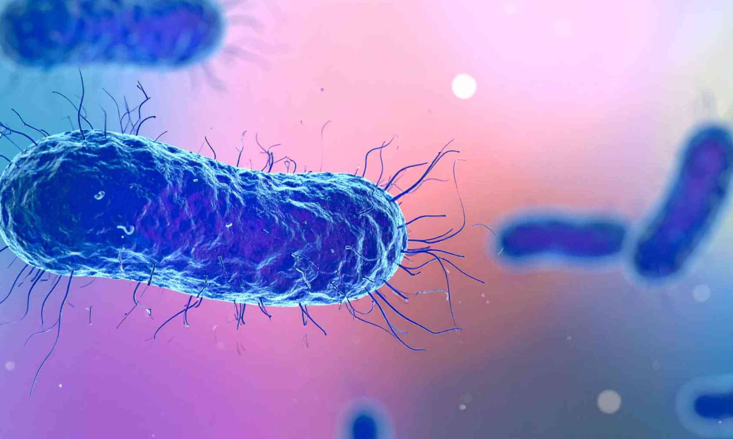 Drug-resistant bacteria may be hiding in a place routine tests overlook