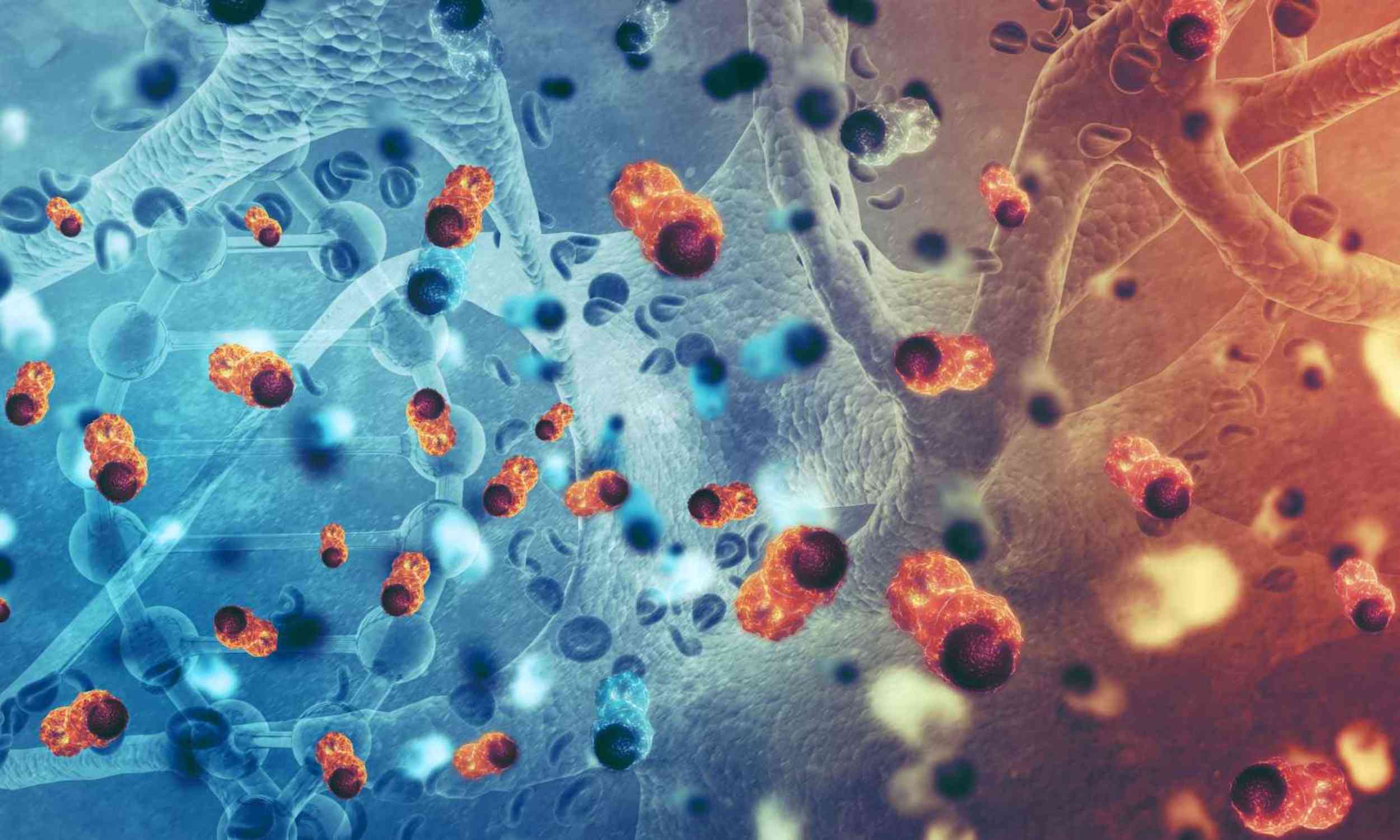 A common vitamin may help the immune system fight a deadly brain cancer