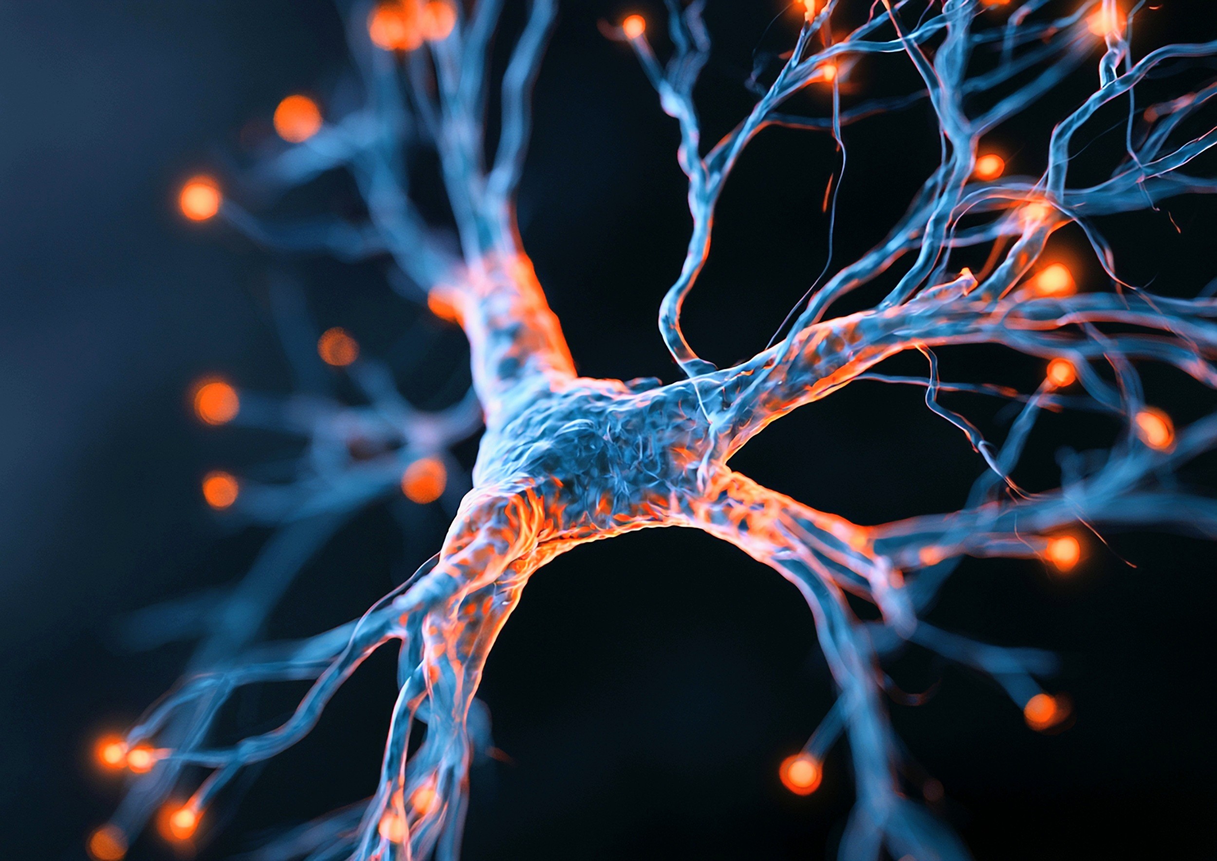 One sleepless night changes connections between brain cells