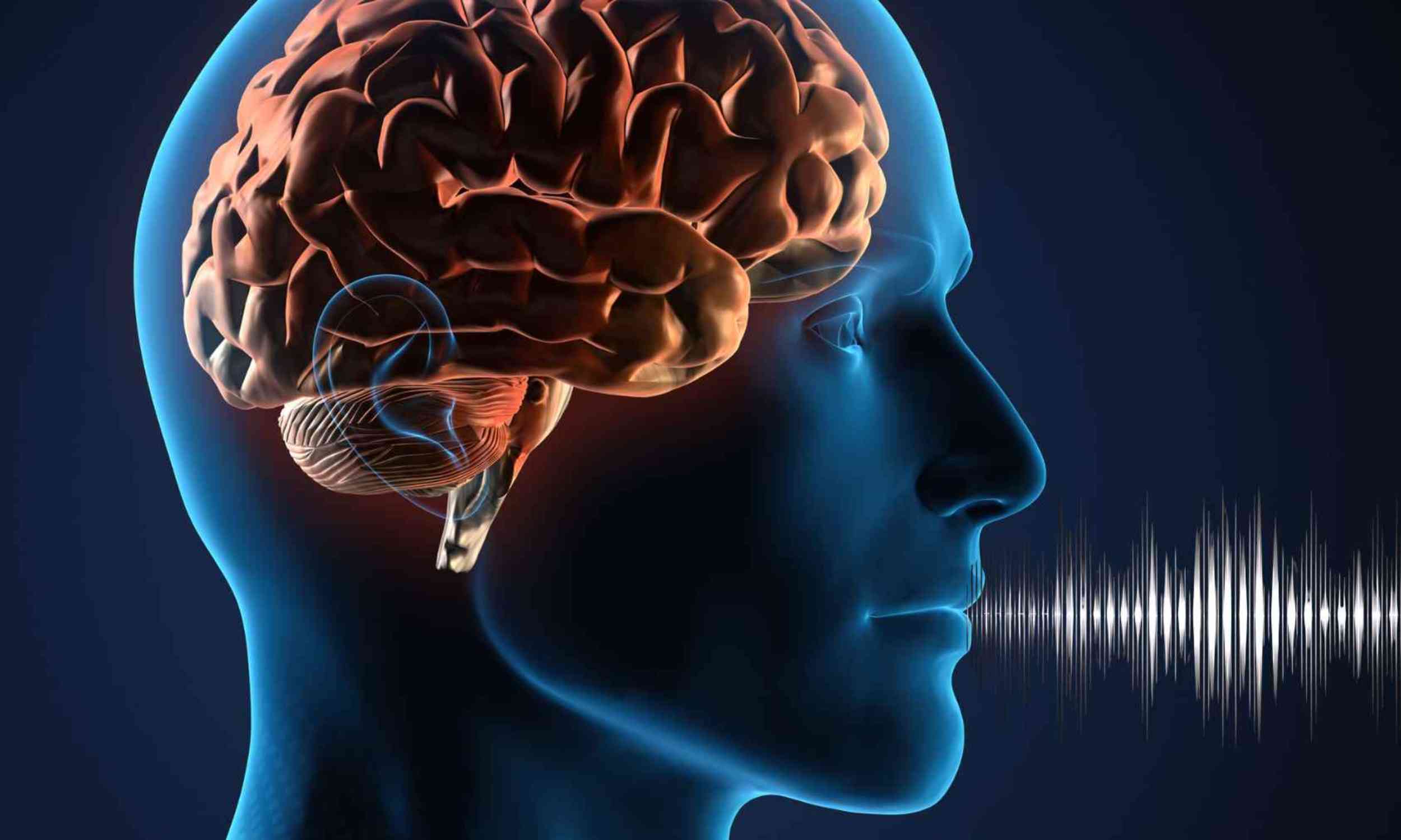 Your brain may remember speech by how words feel, not just how they move