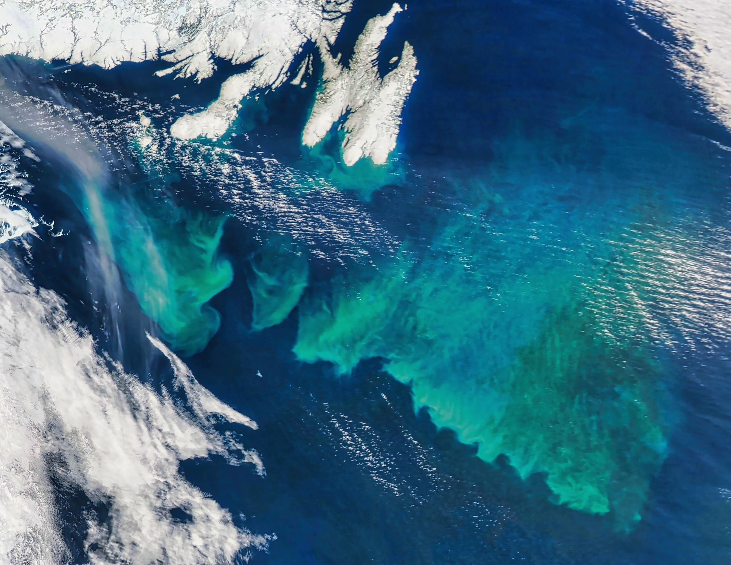 Plankton decline leaves North Atlantic seas in poor health