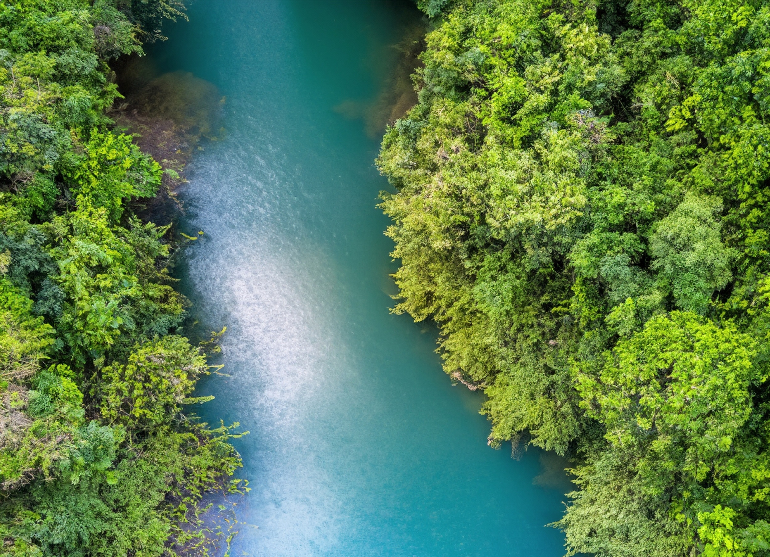 Fish DNA reveals how human activity is changing rivers worldwide