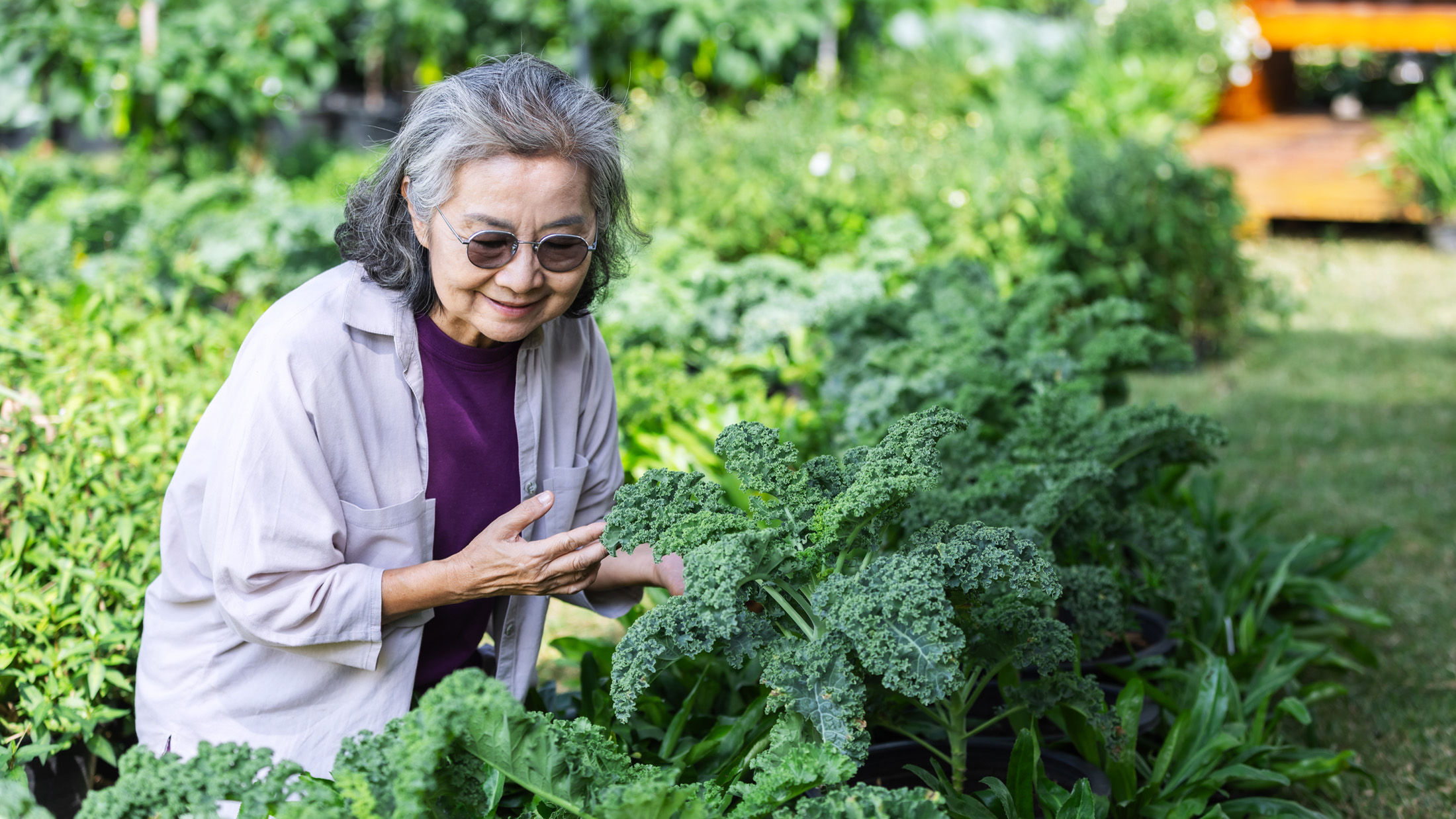 Leafy green vegetables may offer an unexpected benefit for lung health