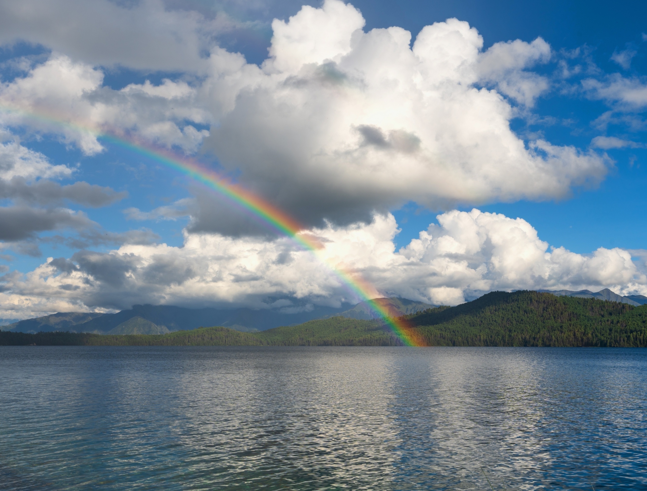 Ocean plankton play a bigger role in cloud formation than expected