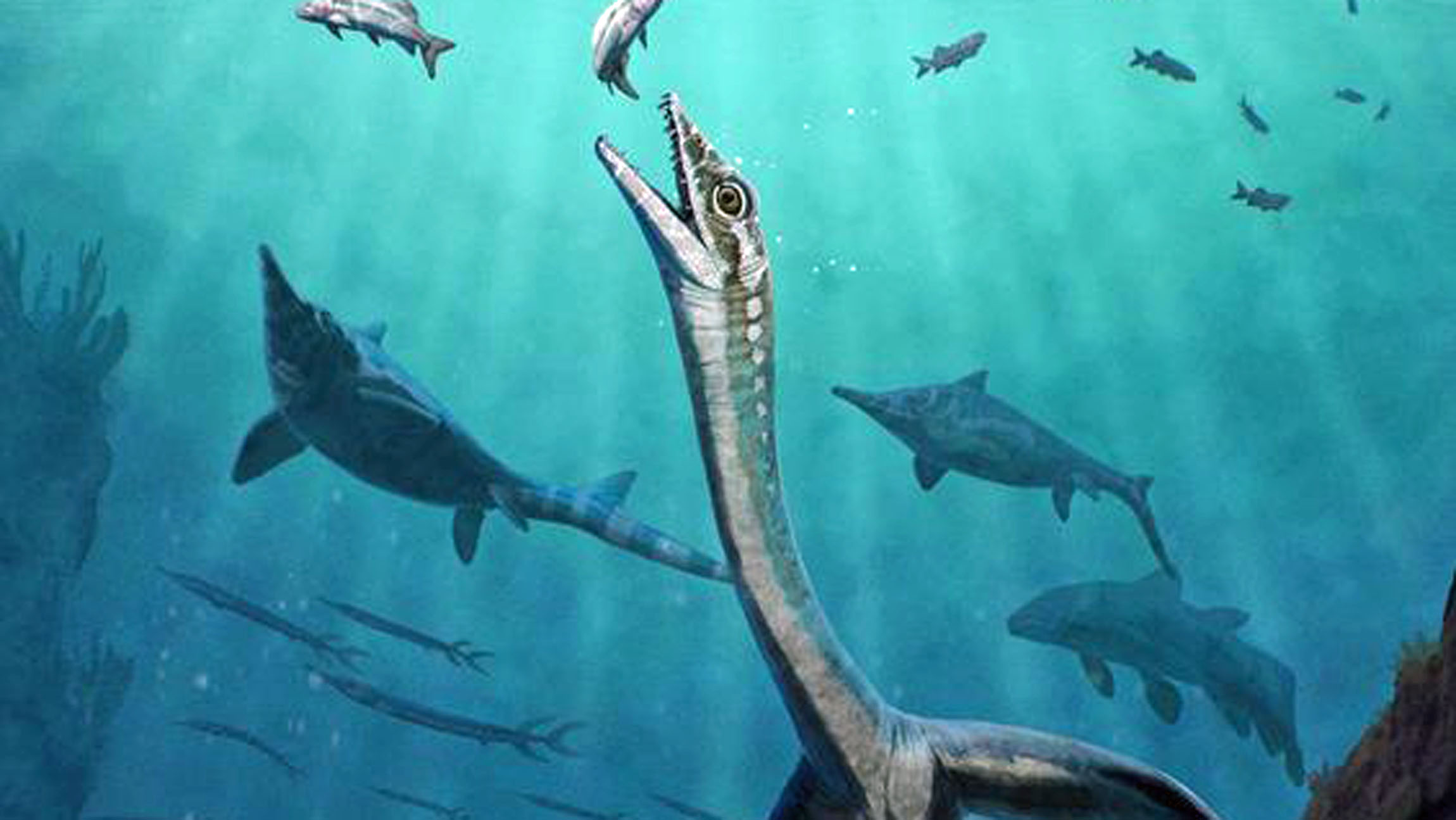 245-million-year-old fossil preserves the oldest known reptile organs