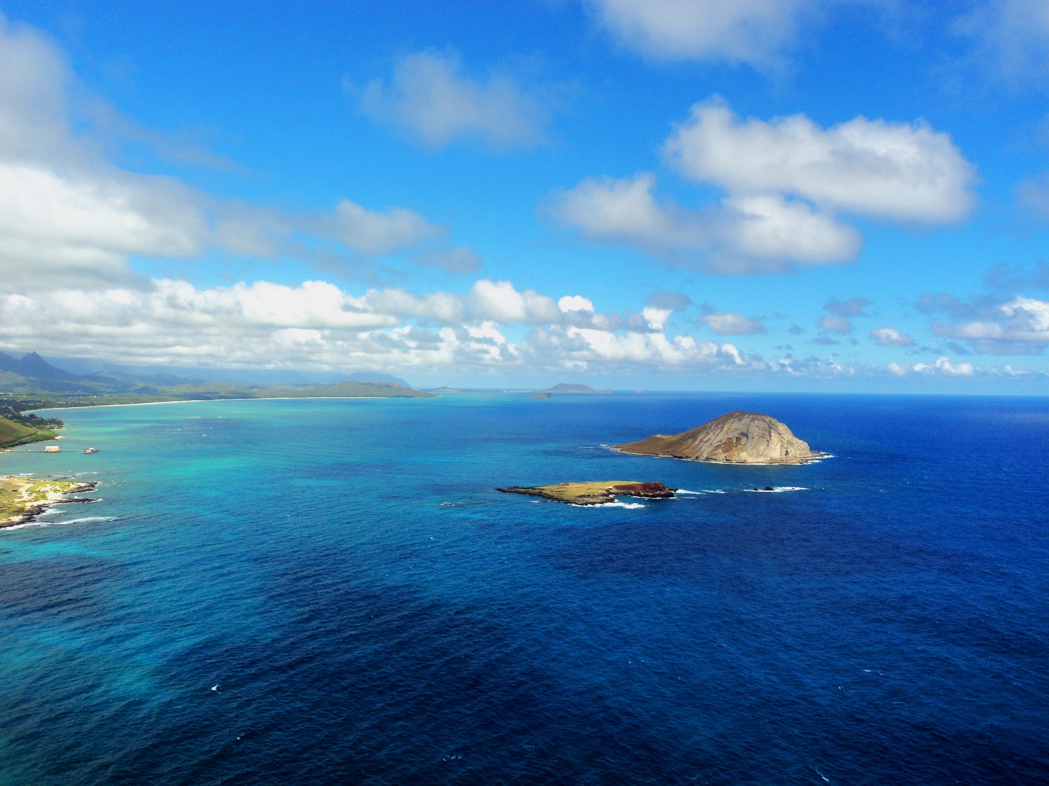 Global sea surface temperatures hit a record high as El Niño returns