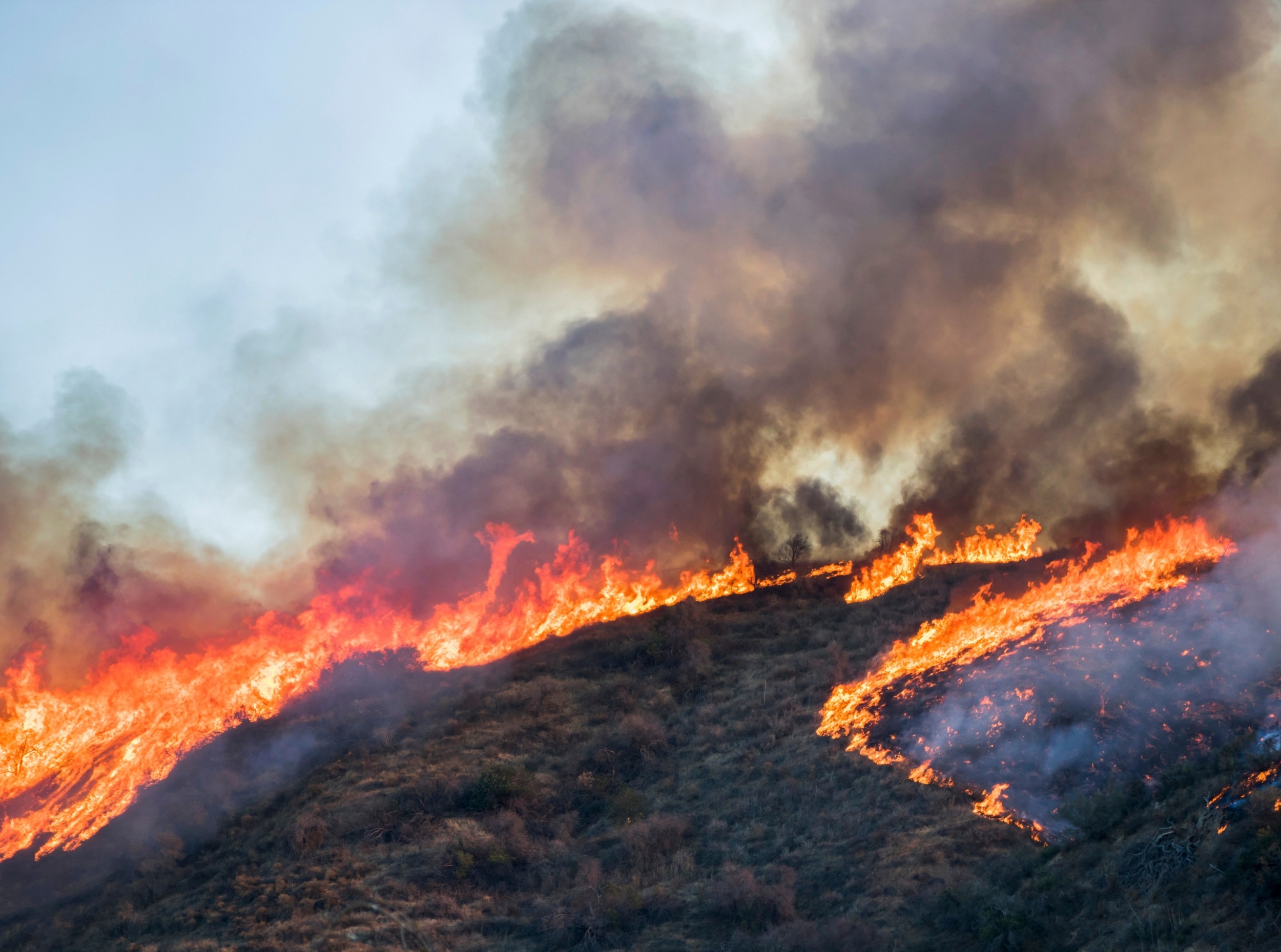 Climate change is almost invisible in modern fiction, study finds