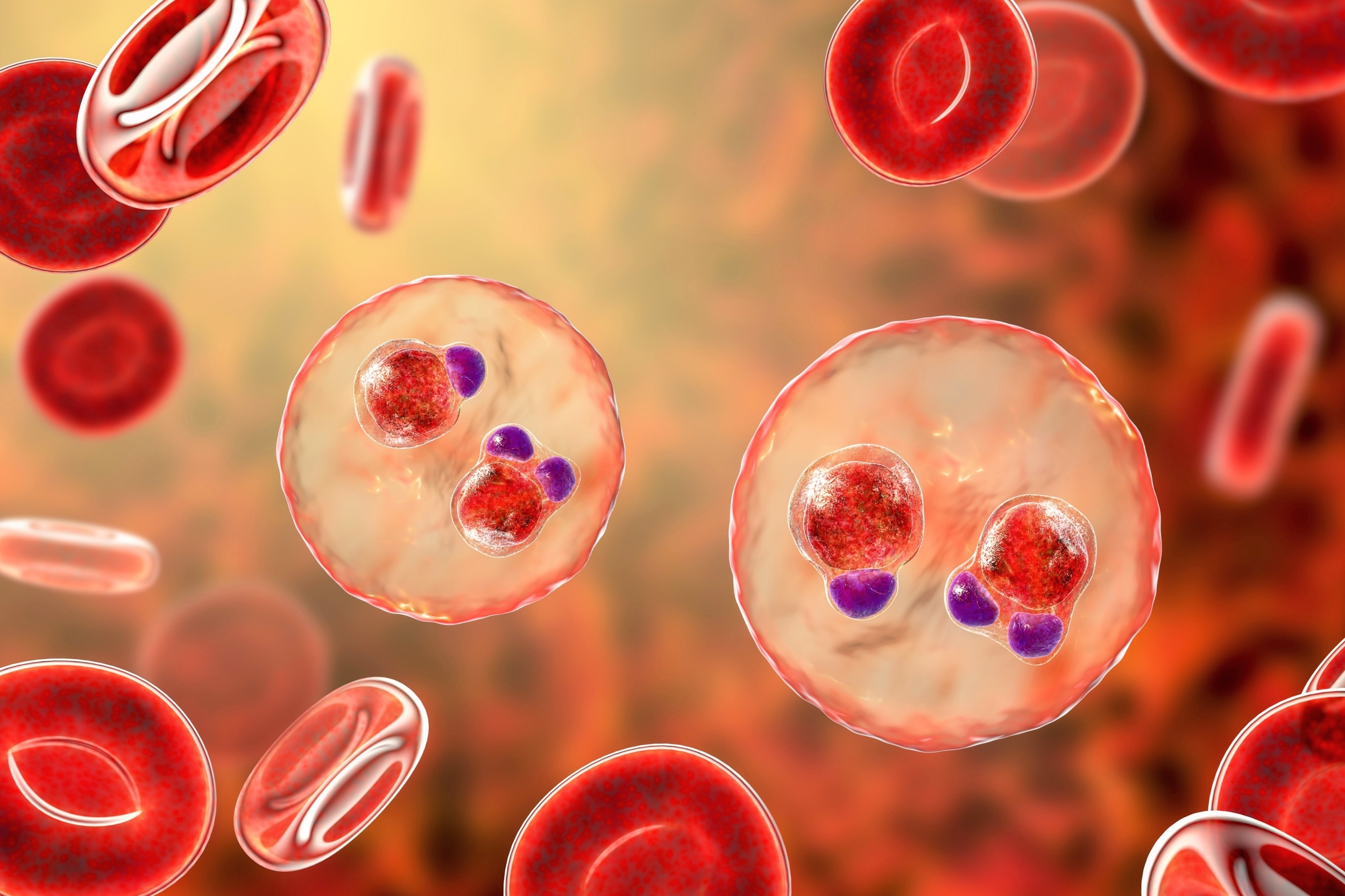 Malaria's invasion strategy reveals a promising new drug target