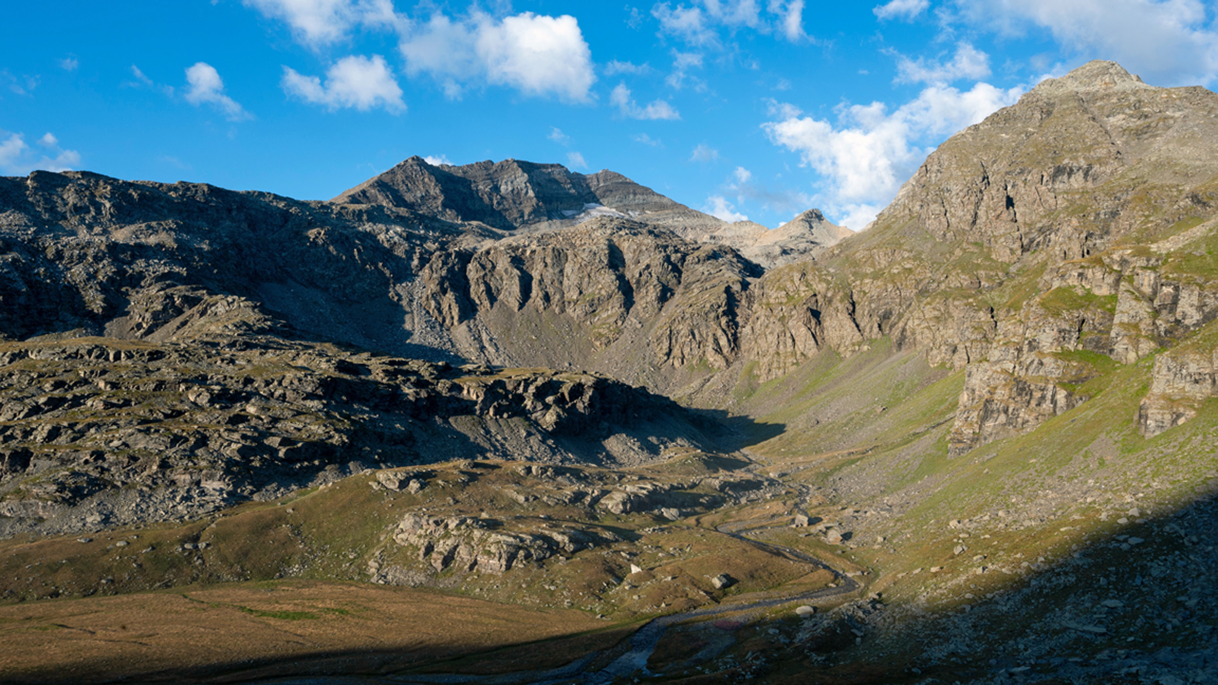 Hannibal's elephants had an unexpected advantage in the Alps