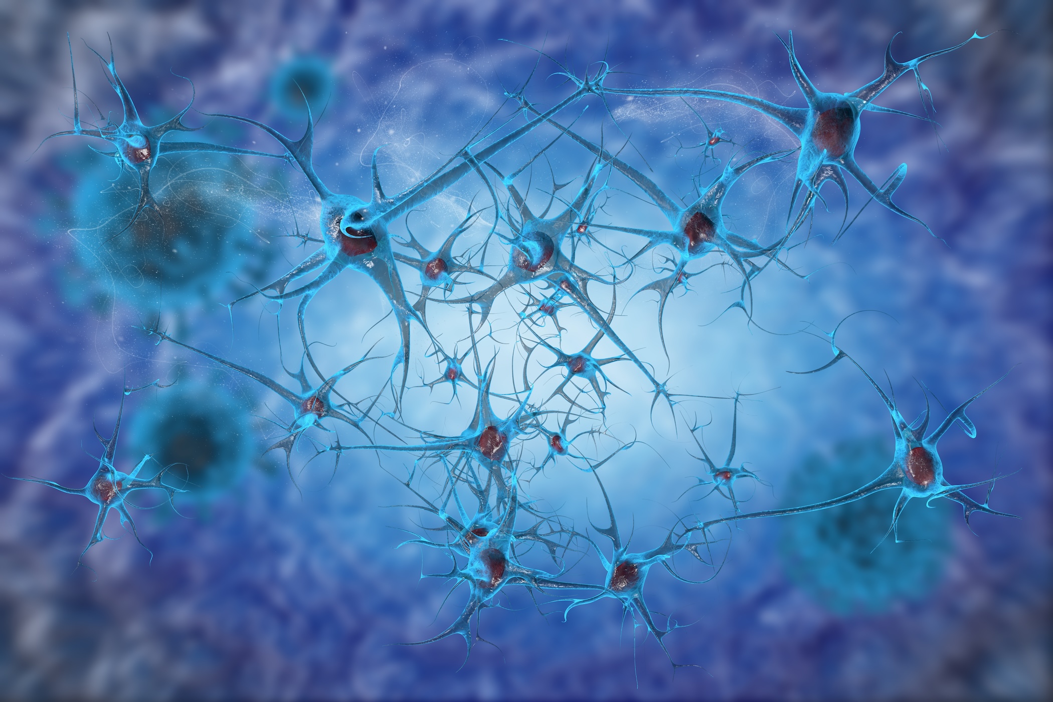 Scientists discover brain cells that decide which memories last