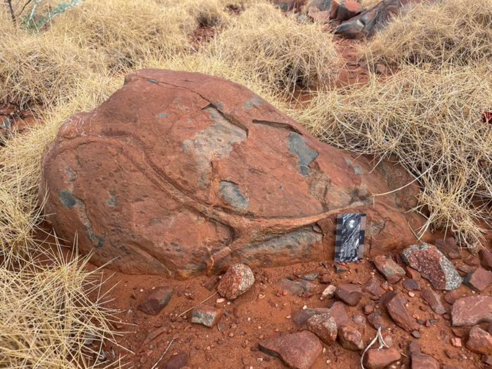 Ancient rocks reveal Earth recycled water 3 billion years ago