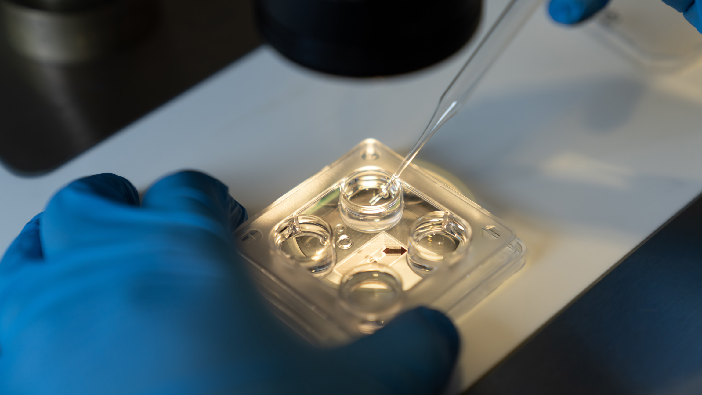 Researchers uncover striking regional differences in sperm quality