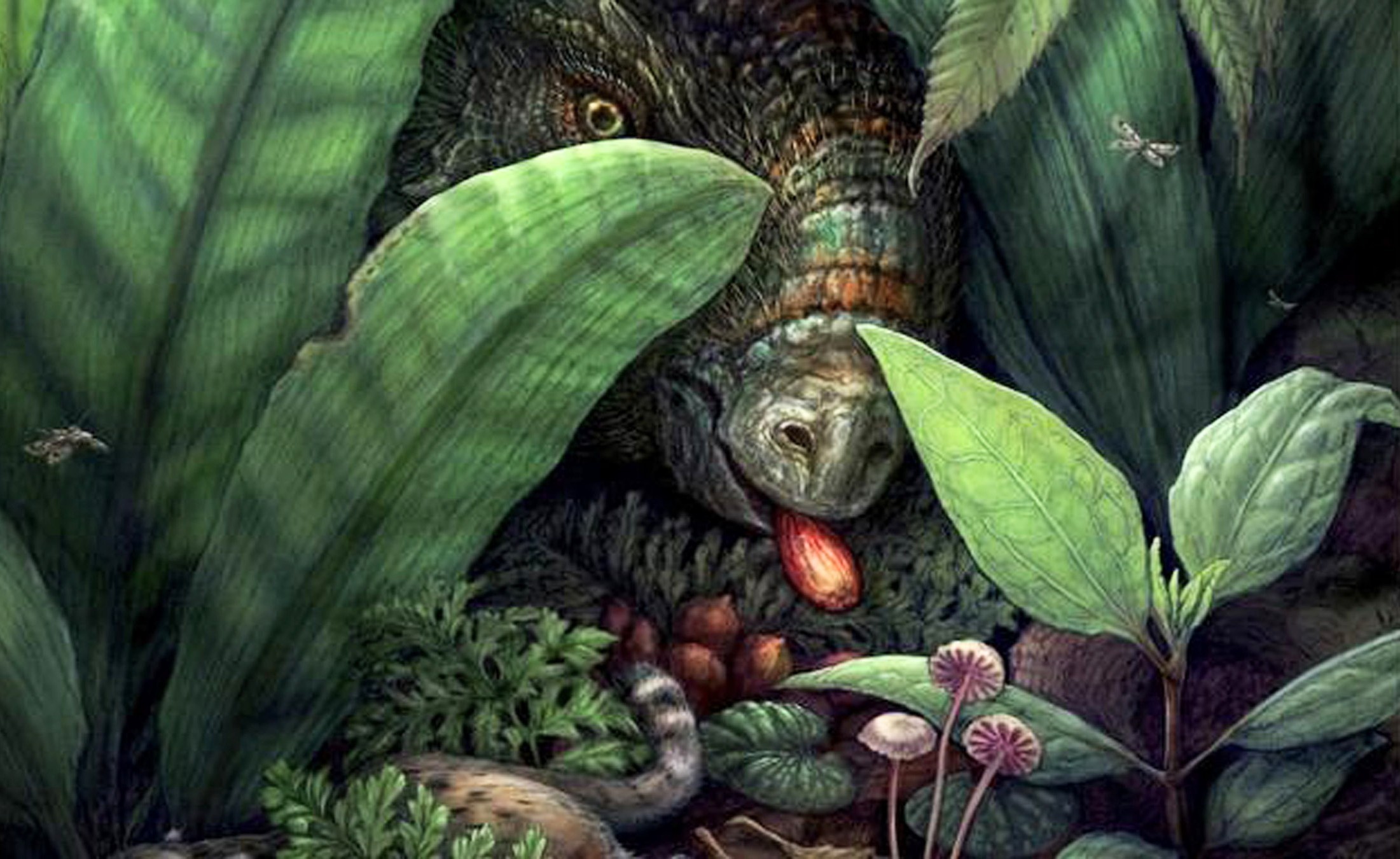 Dinosaurs may have shaped the evolution of fruit-bearing plants