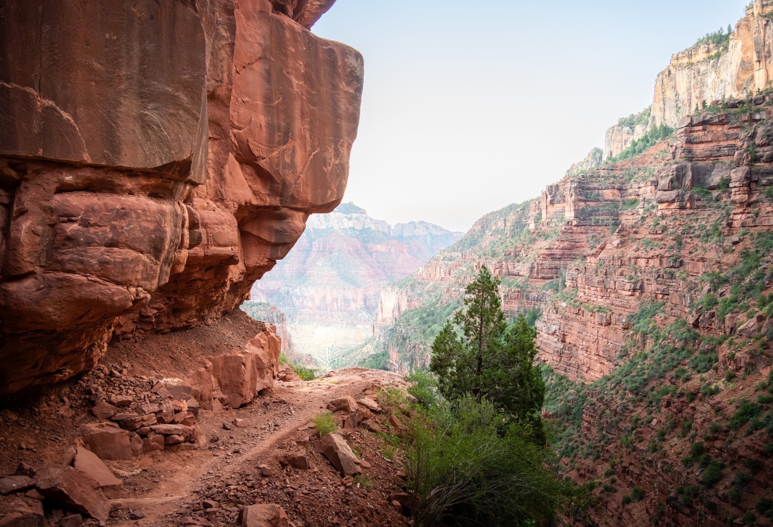 Earth's ancient climate was cooler than we thought