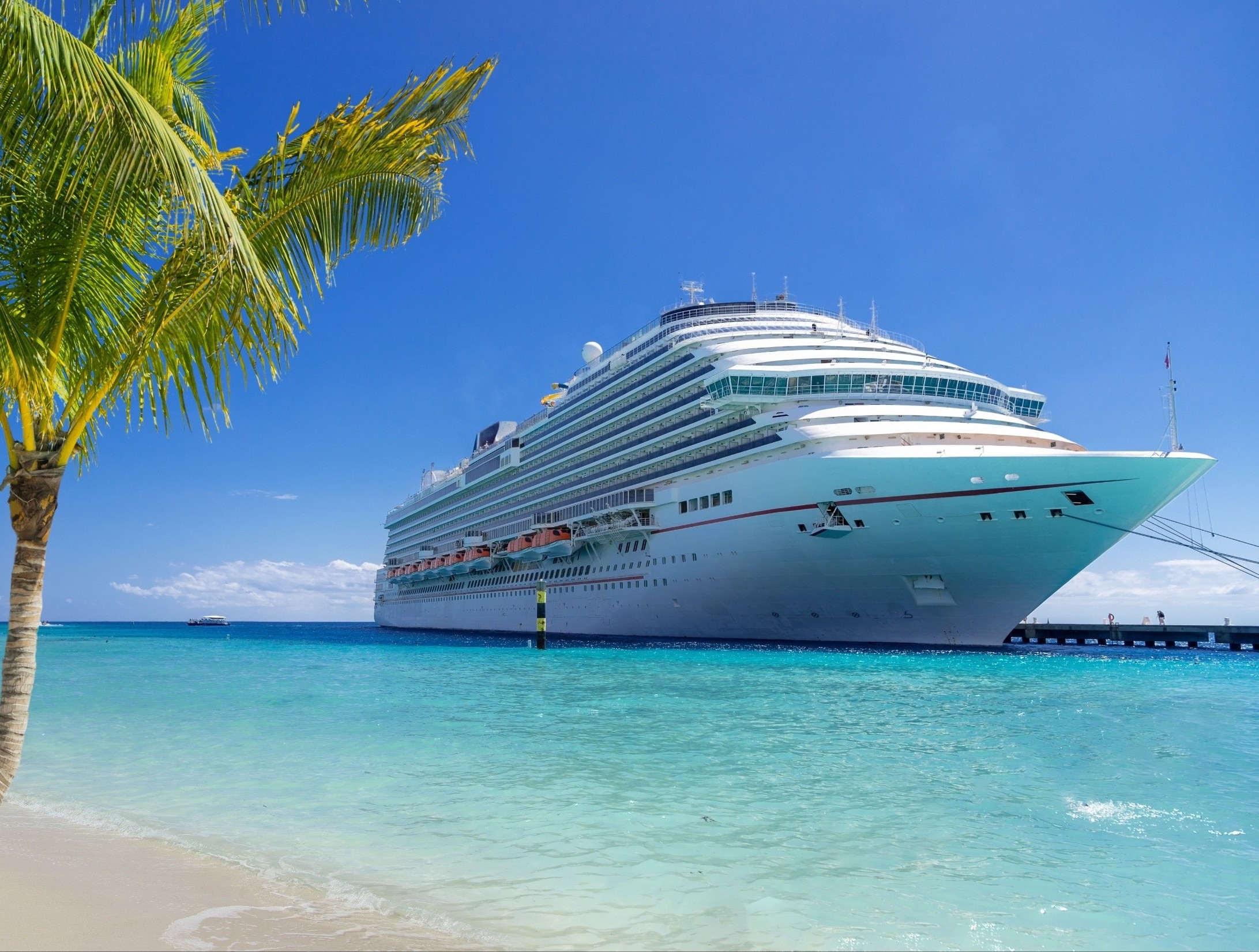 Cruise ship pollution may leave lungs vulnerable to viruses
