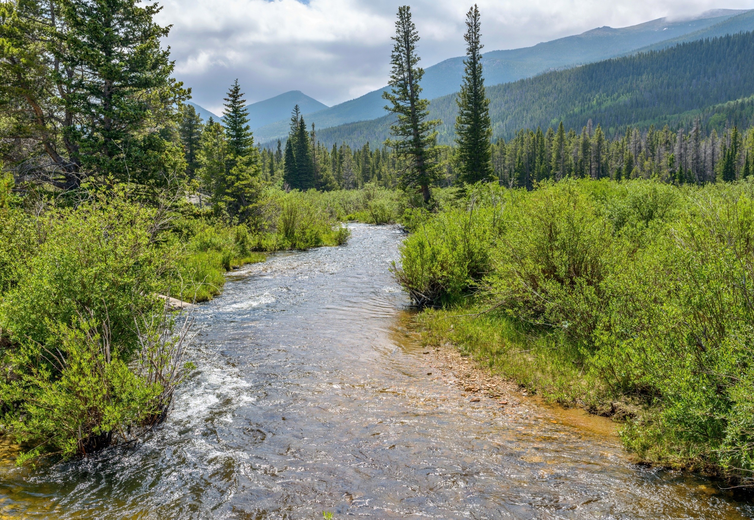 Streams can look healthy while hiding serious problems
