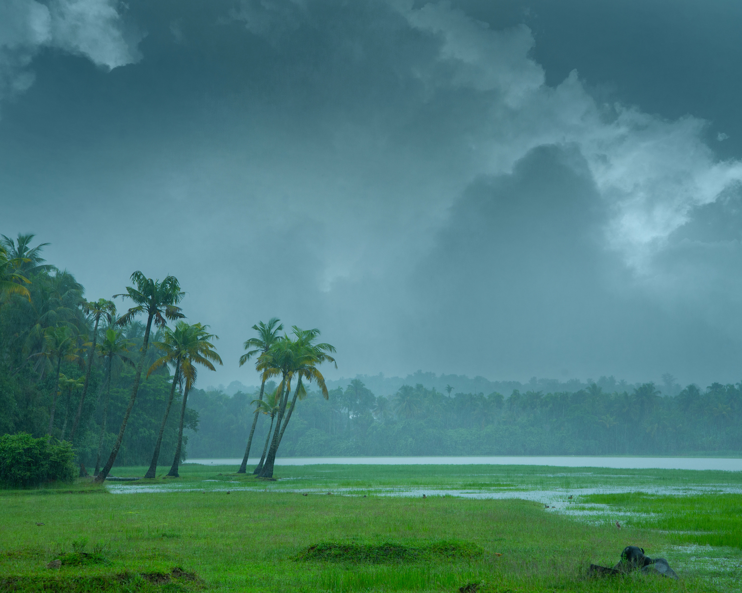 Cutting air pollution may bring back decades of lost monsoon rain in India