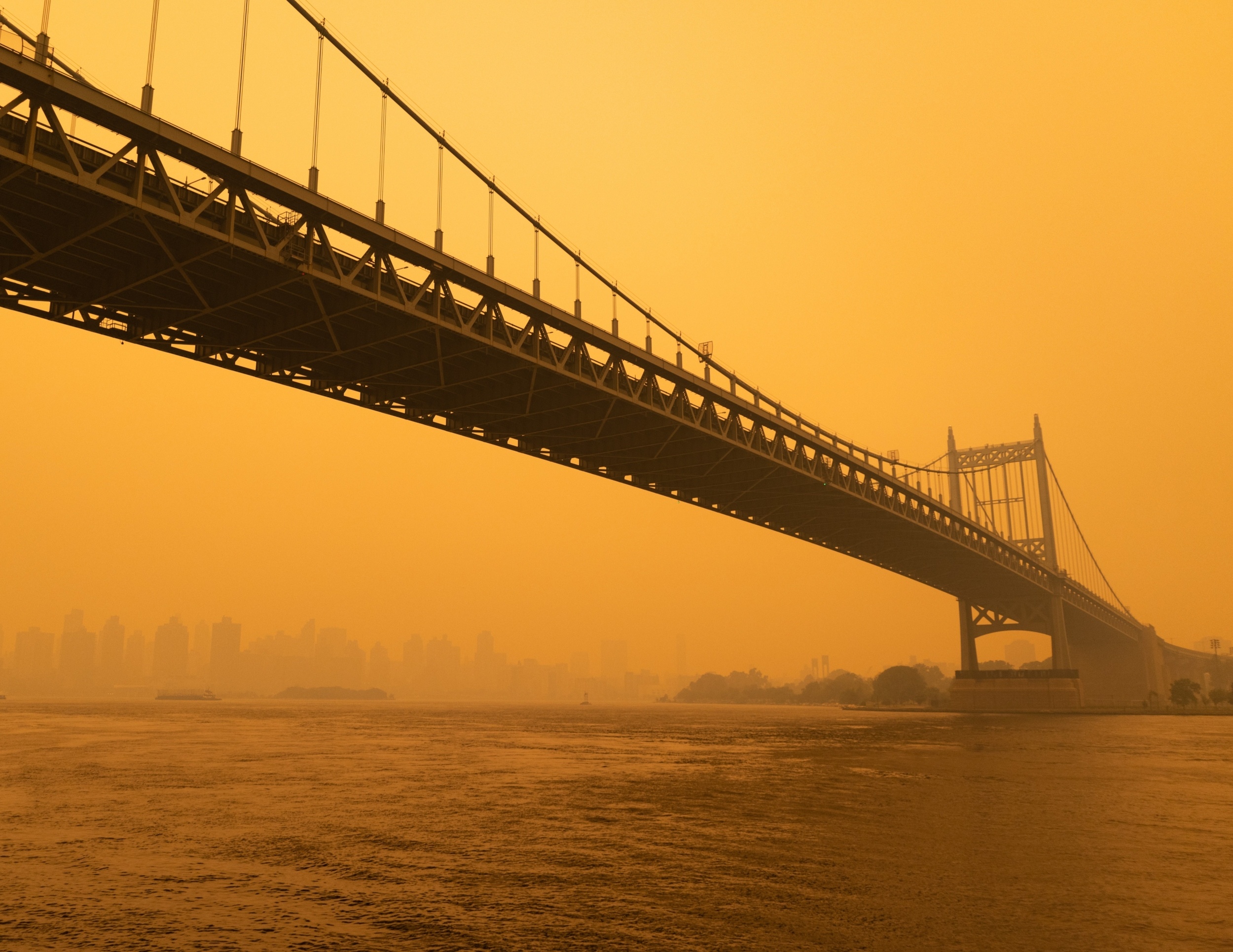 Wildfire smoke is making dozens of bird species harder to spot