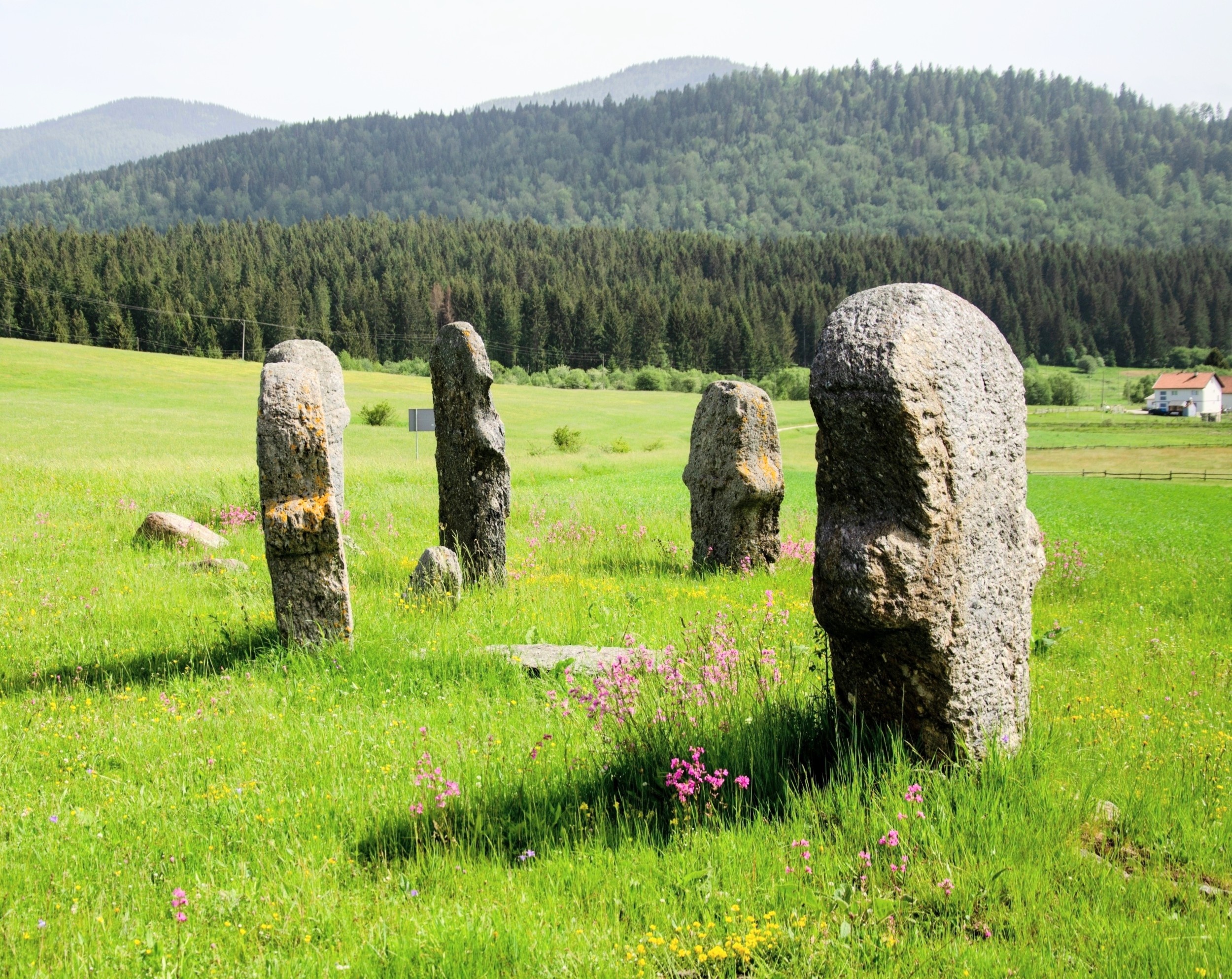 Medieval graves often held strangers, not families