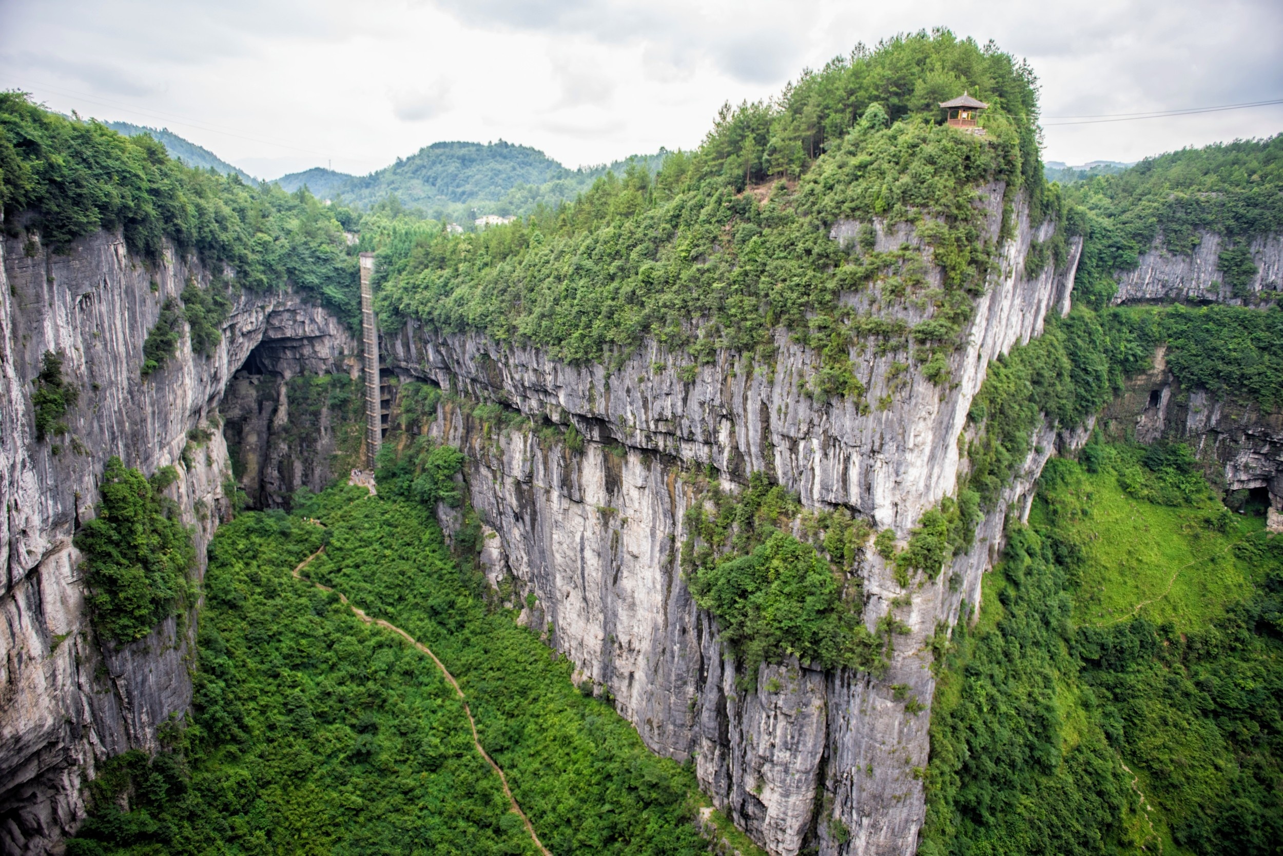 China's giant sinkholes are both refuge and trap for rare trees