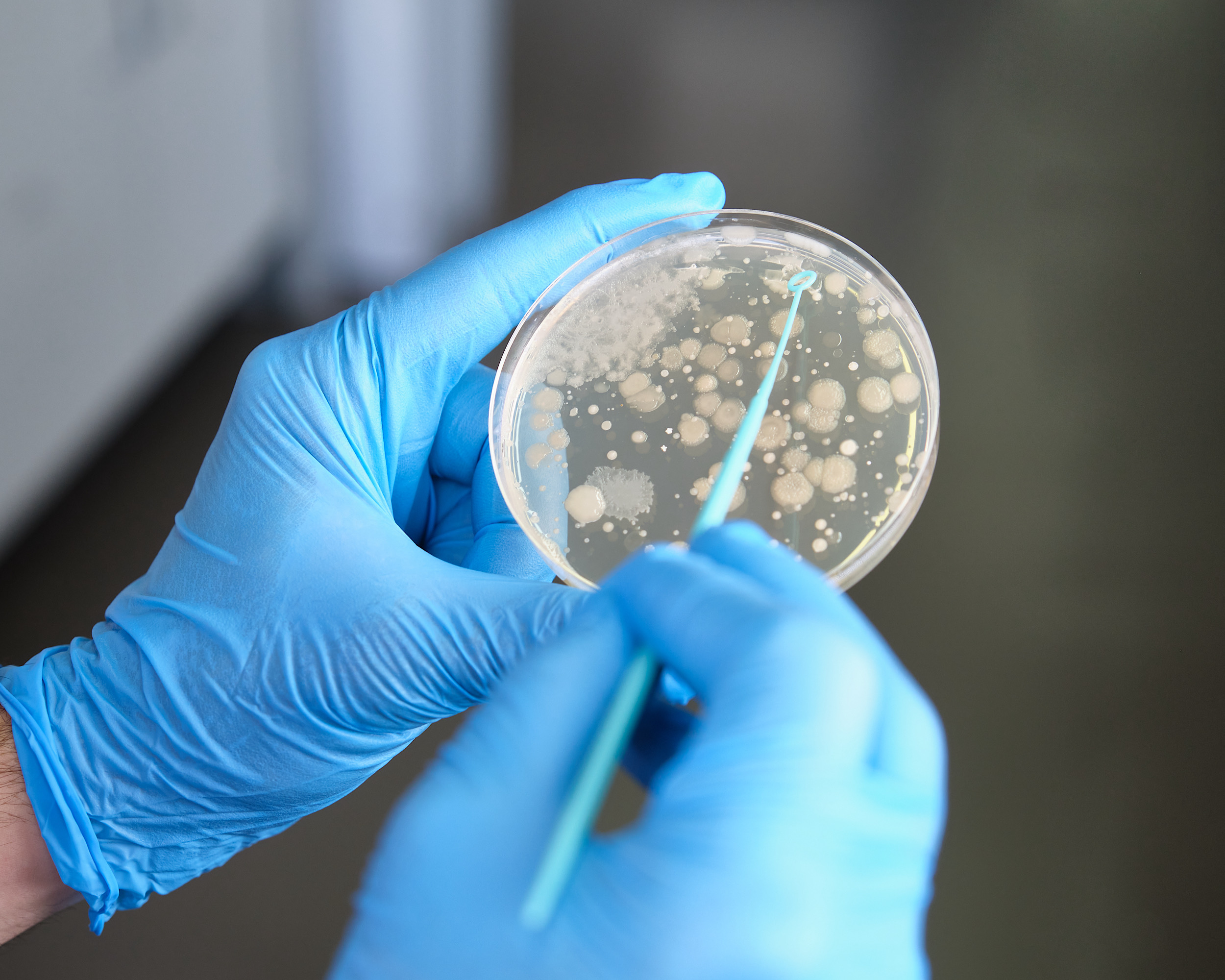 Dead bacteria may help explain why some antibiotic treatments fail