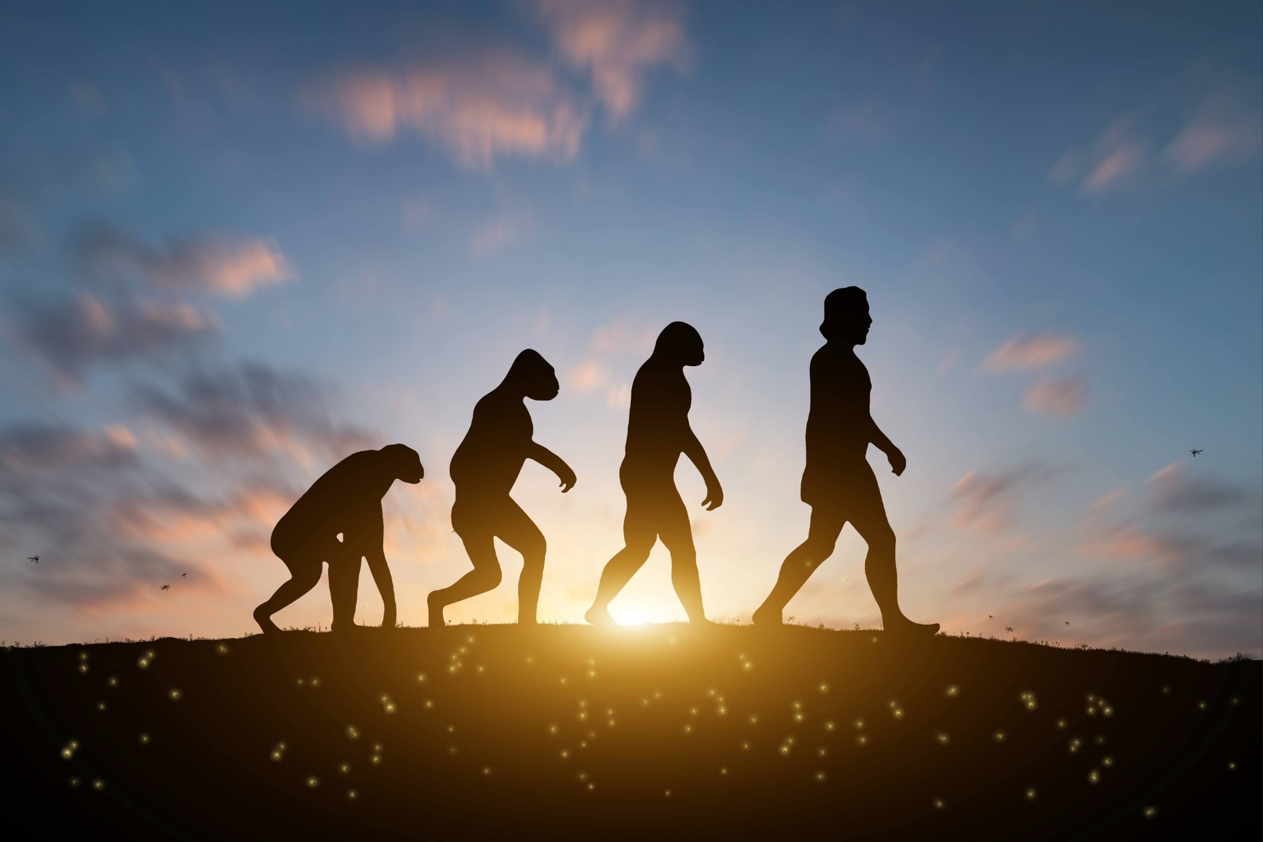 Why humans grew to nearly twice the size of our ancestors