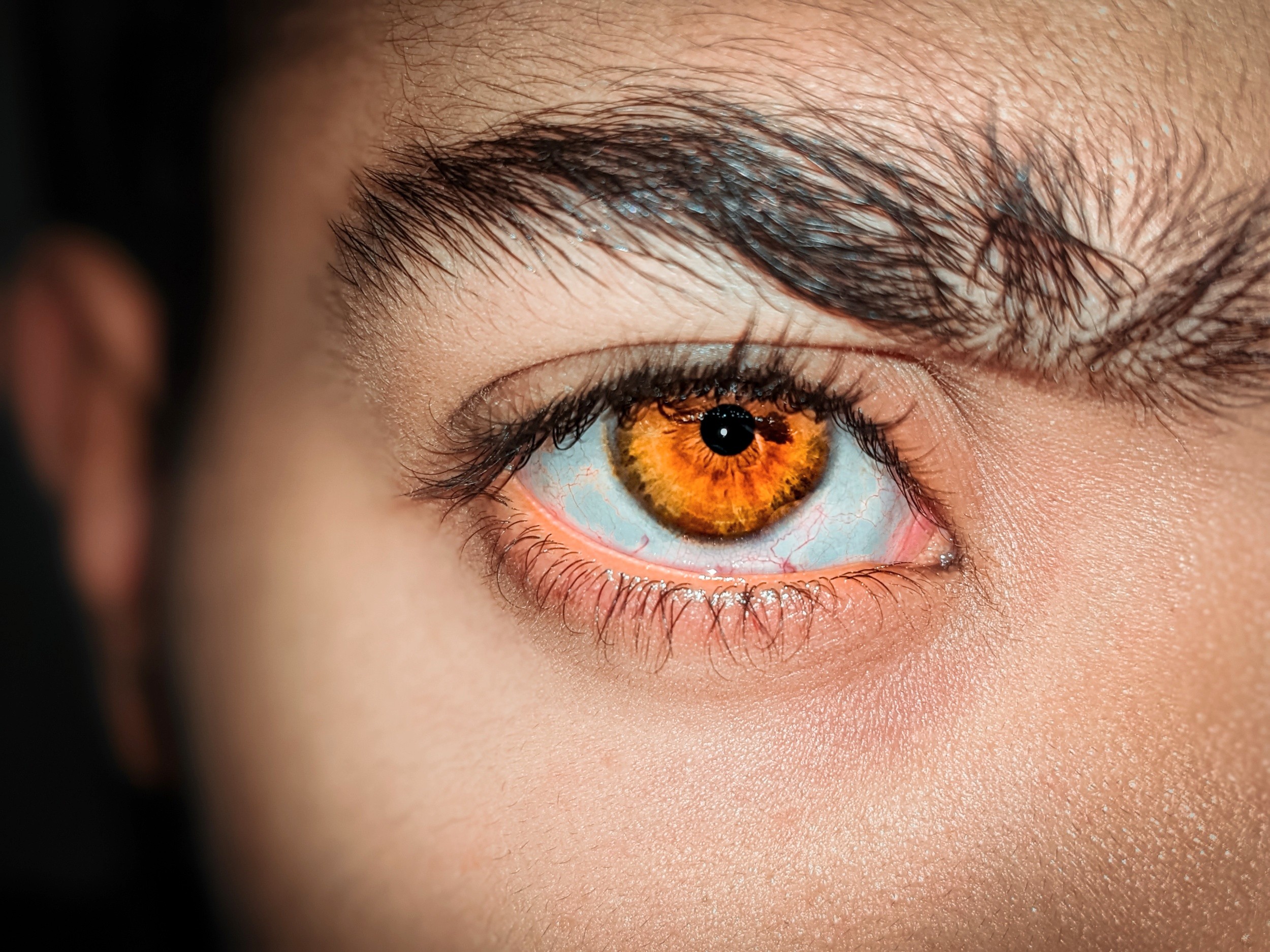 Eyes repair themselves by turning old cells back into stem cells
