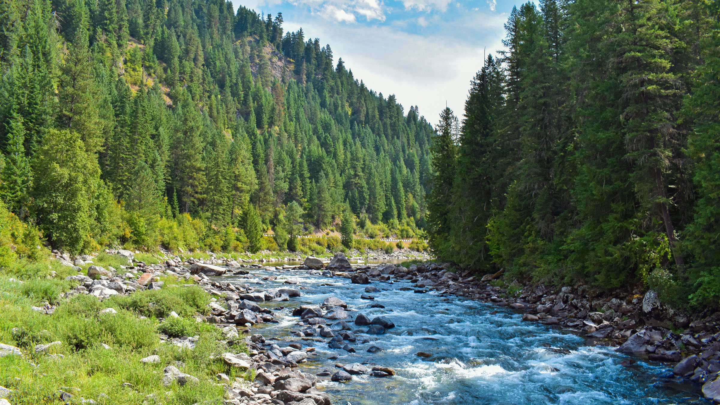 Millions could lose key drinking water protections if Roadless Rule is repealed